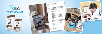 Web-NZ-testimonial3