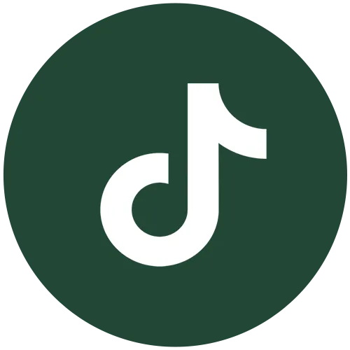 tiktok(2)