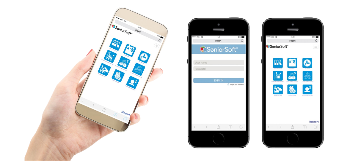 SeniorSoftiReport