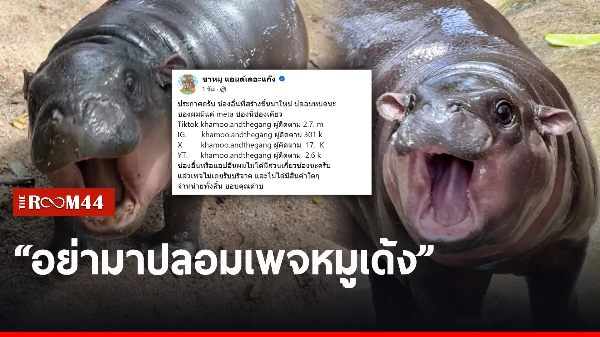 กหด