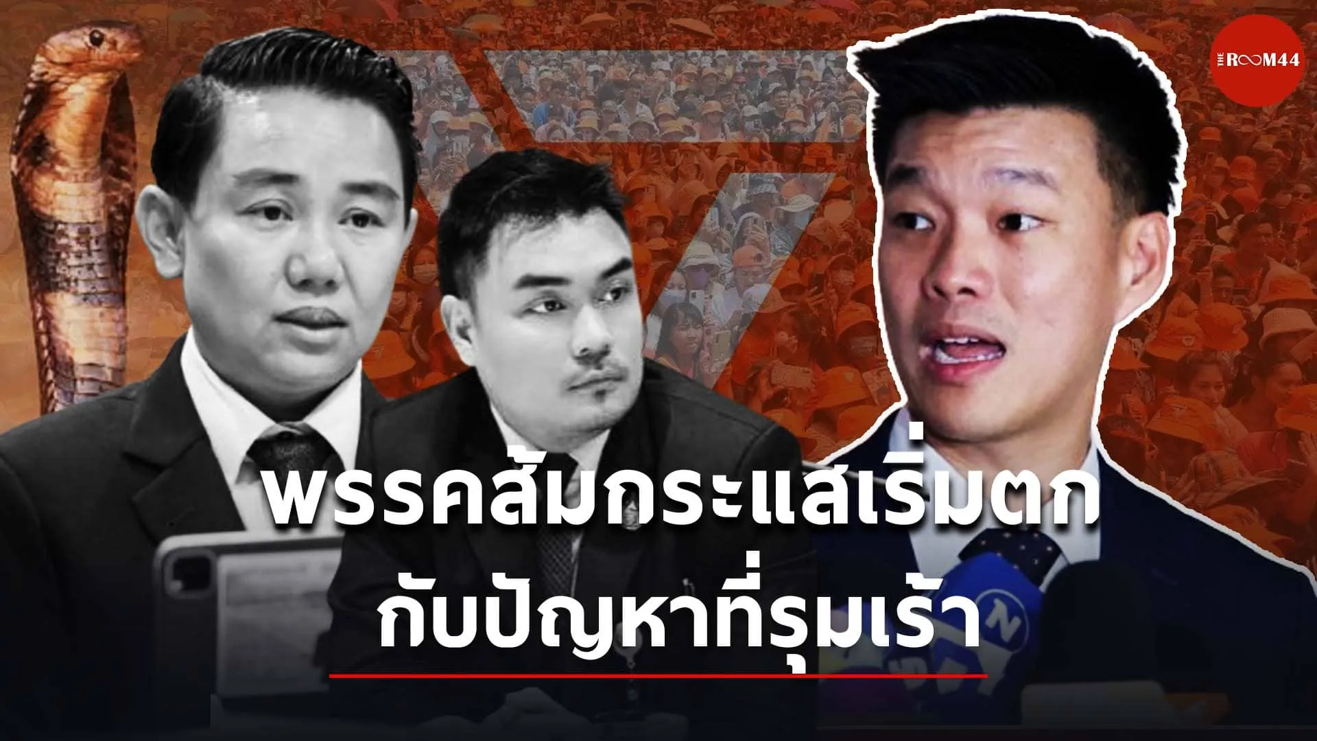 งุเห่า(1)
