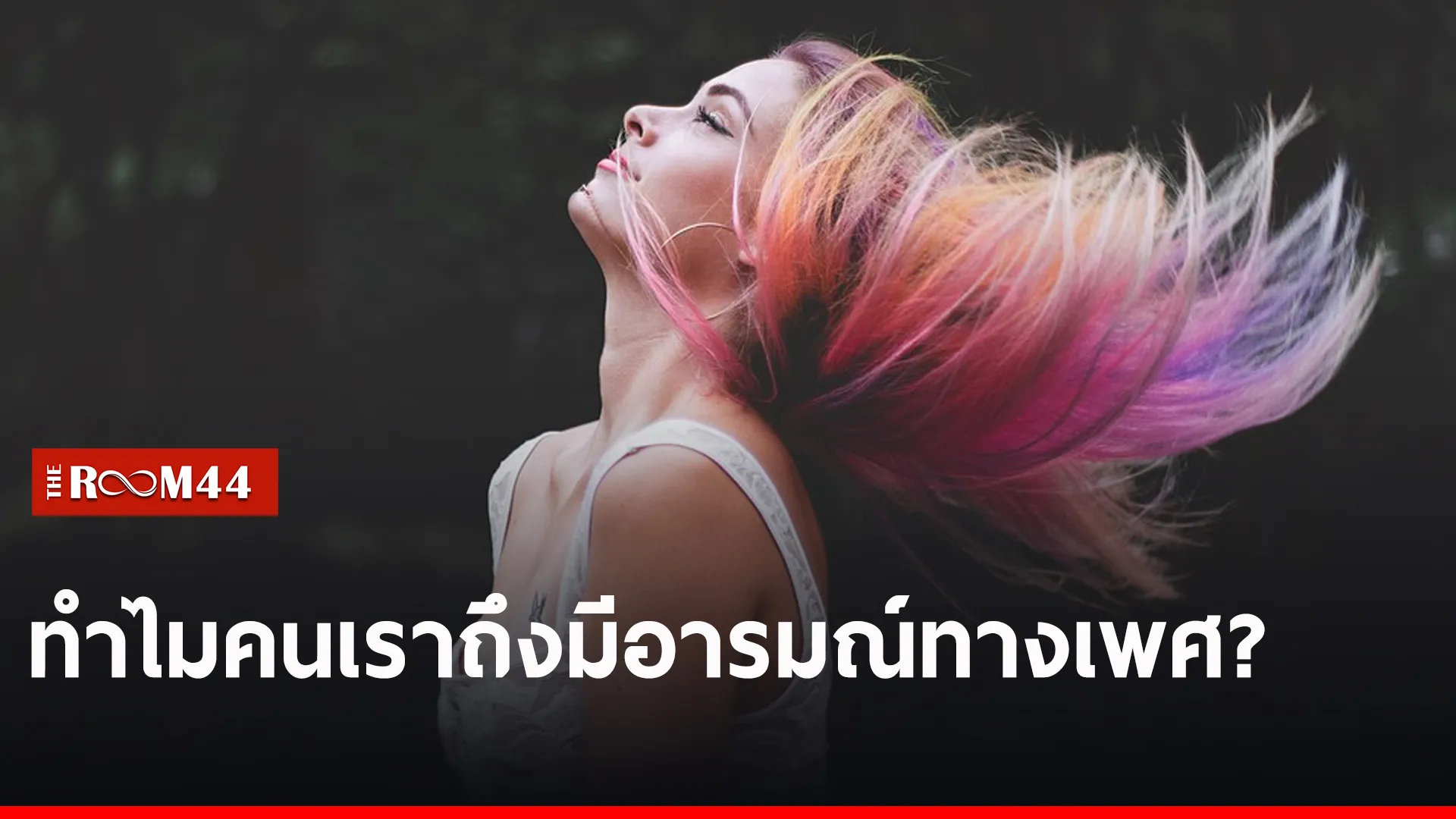 ฏฏ
