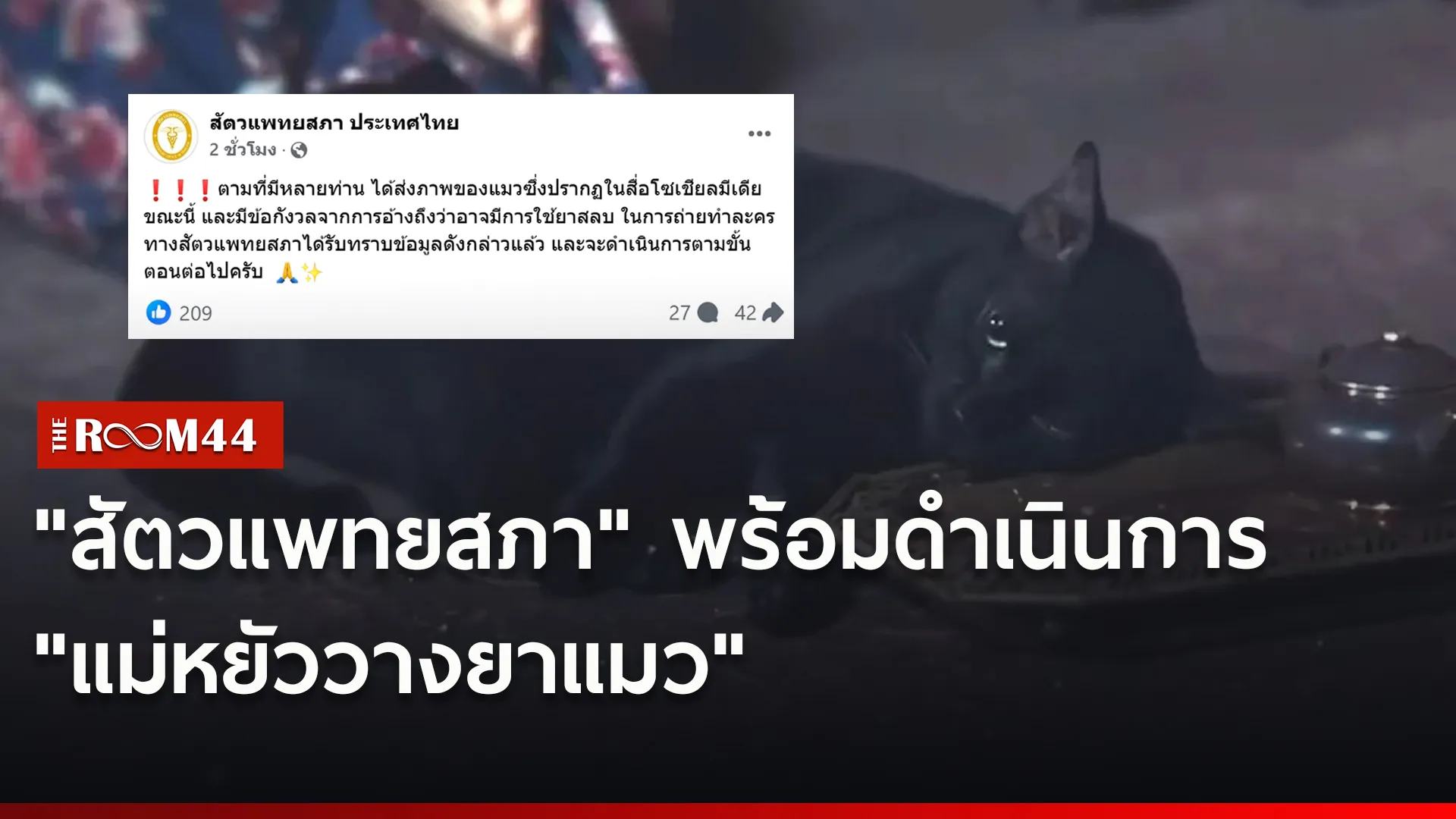 น่ท้