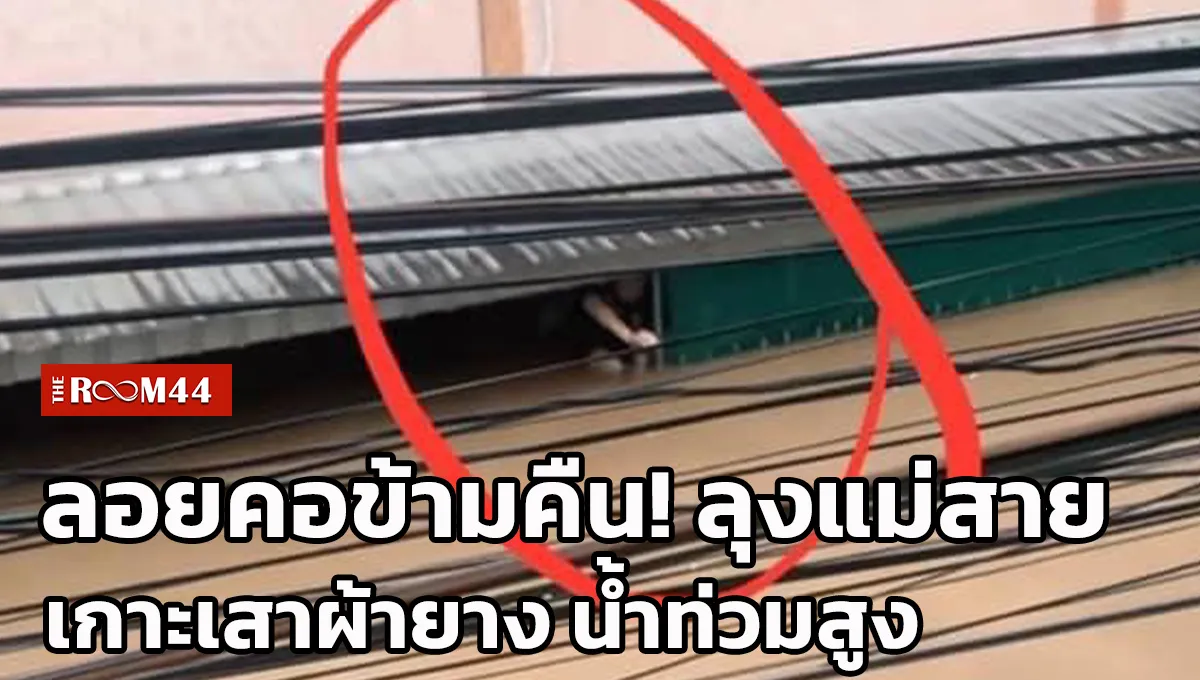 ปกข่าวเว็บ-ไลน์ใหม่0