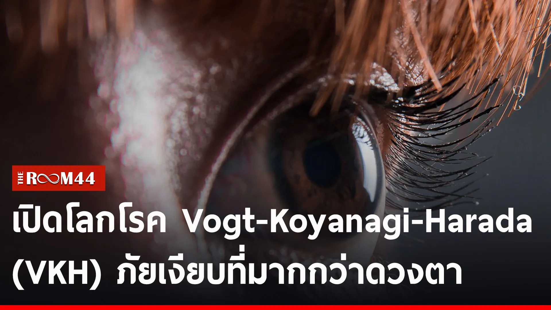 ปกข่าวไลน์-เว็บ28585