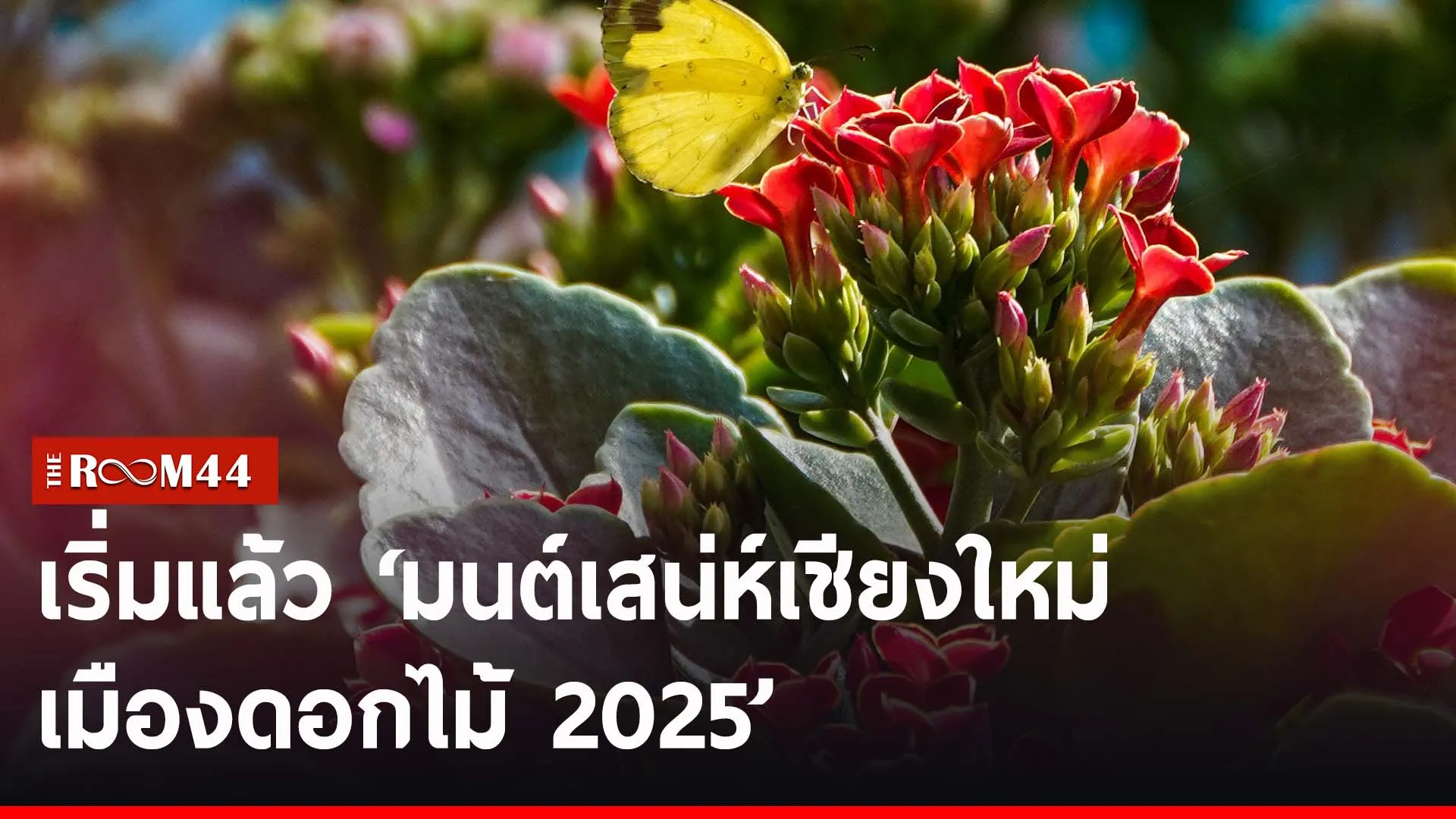 ปกข่าวไลน์-เว็บ2iuyi