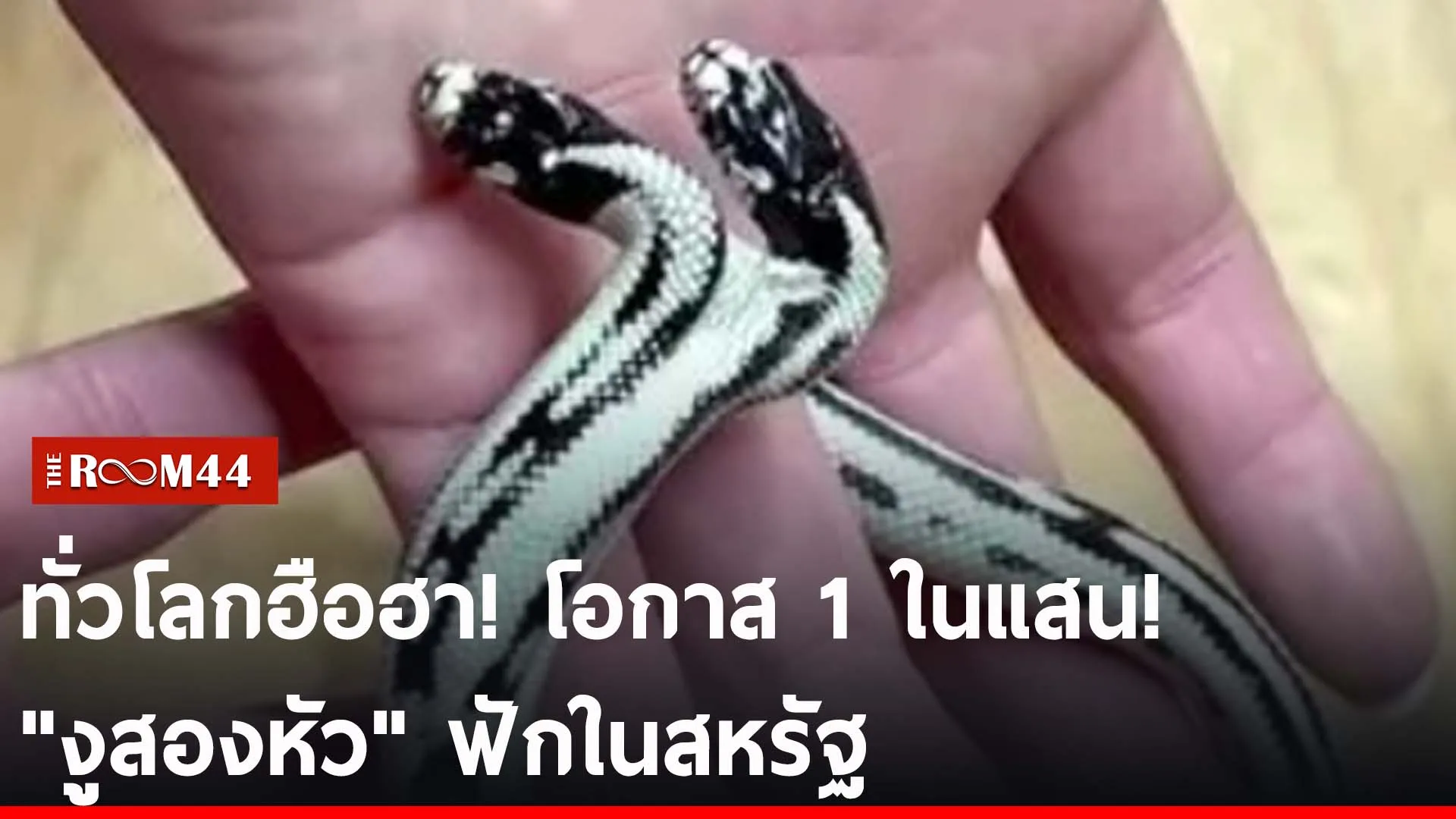 ปกข่าวไลน์-เว็บ2นัน