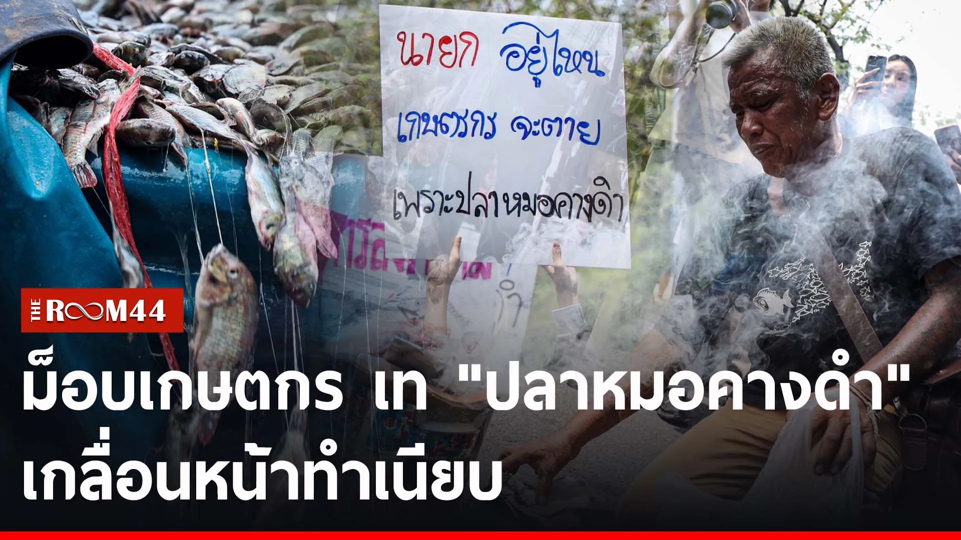 ปกข่าวไลน์-เว็บ2บยนบ