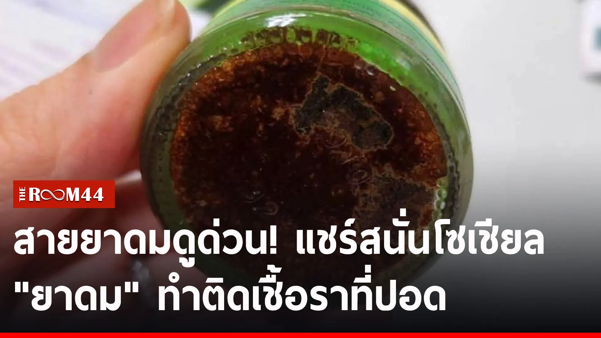 ปกข่าวไลน์-เว็บ2ะัีะัีะัี