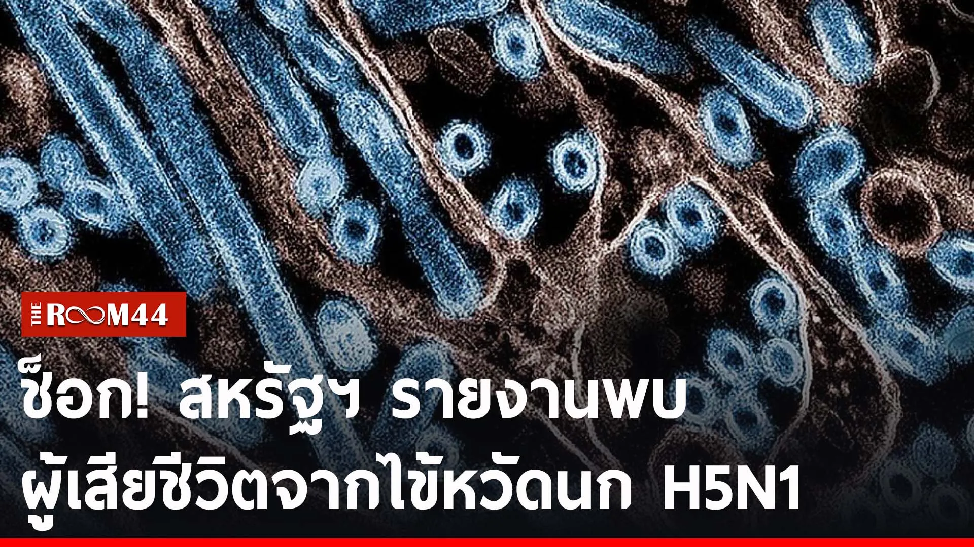 ปกข่าวไลน์-เว็บ2ัพะัพะัพะั