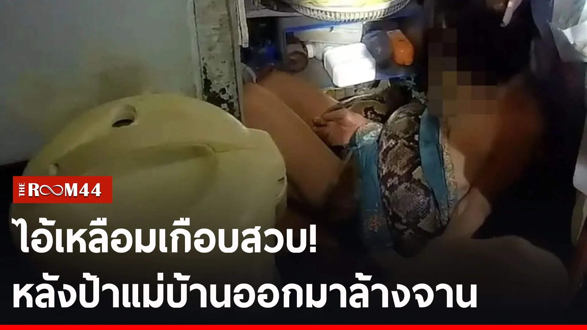 ปกข่าวไลน์-เว็บ2ัะพะ