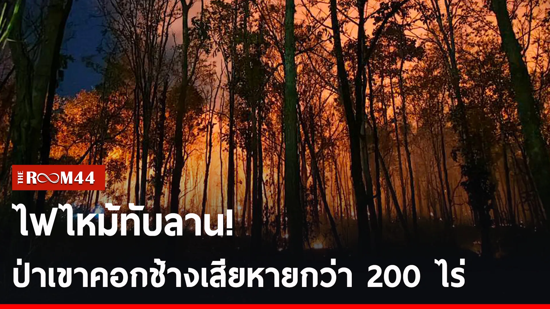 ปกข่าวไลน์-เว็บ2ัะีะั