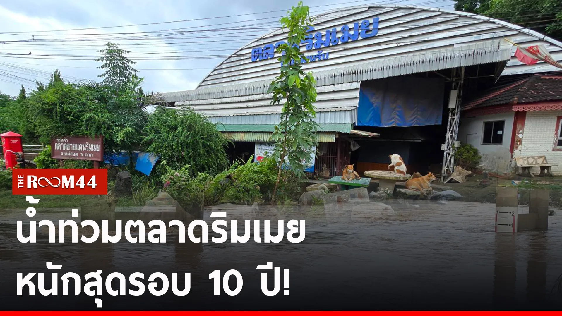 ปกข่าวไลน์-เว็บ2ัีรีัะ