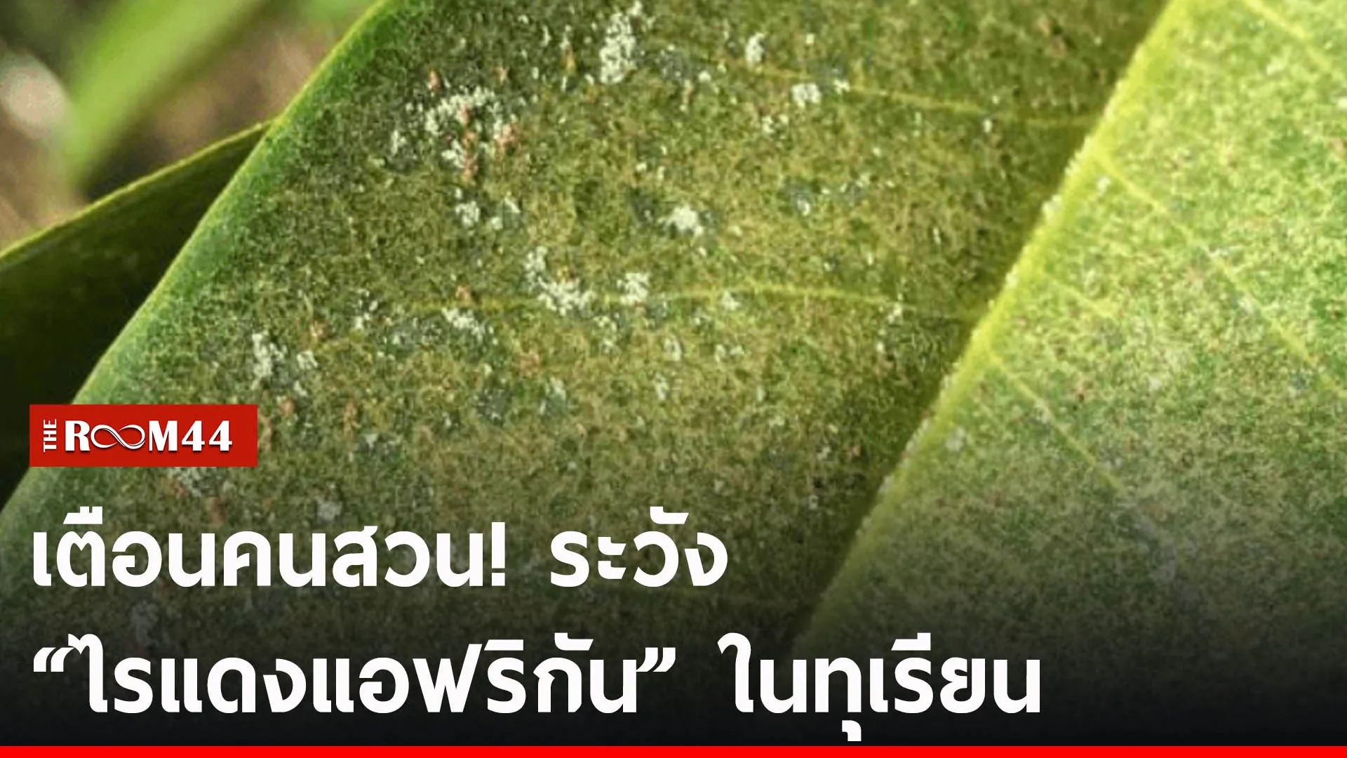 ปกข่าวไลน์-เว็บ2ีัรีัร