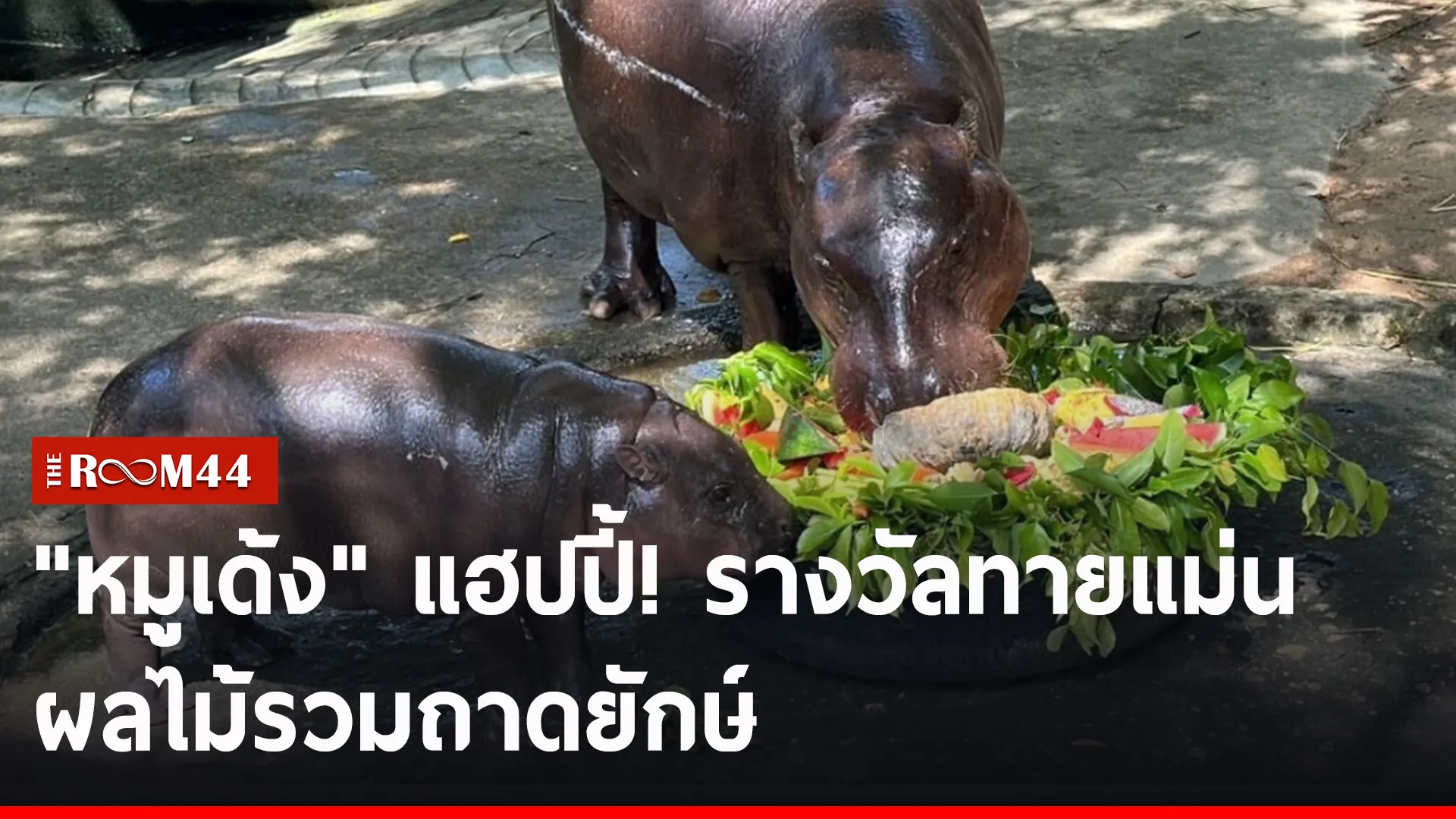 ปกข่าวไลน์-เว็บ2ีัรีัร