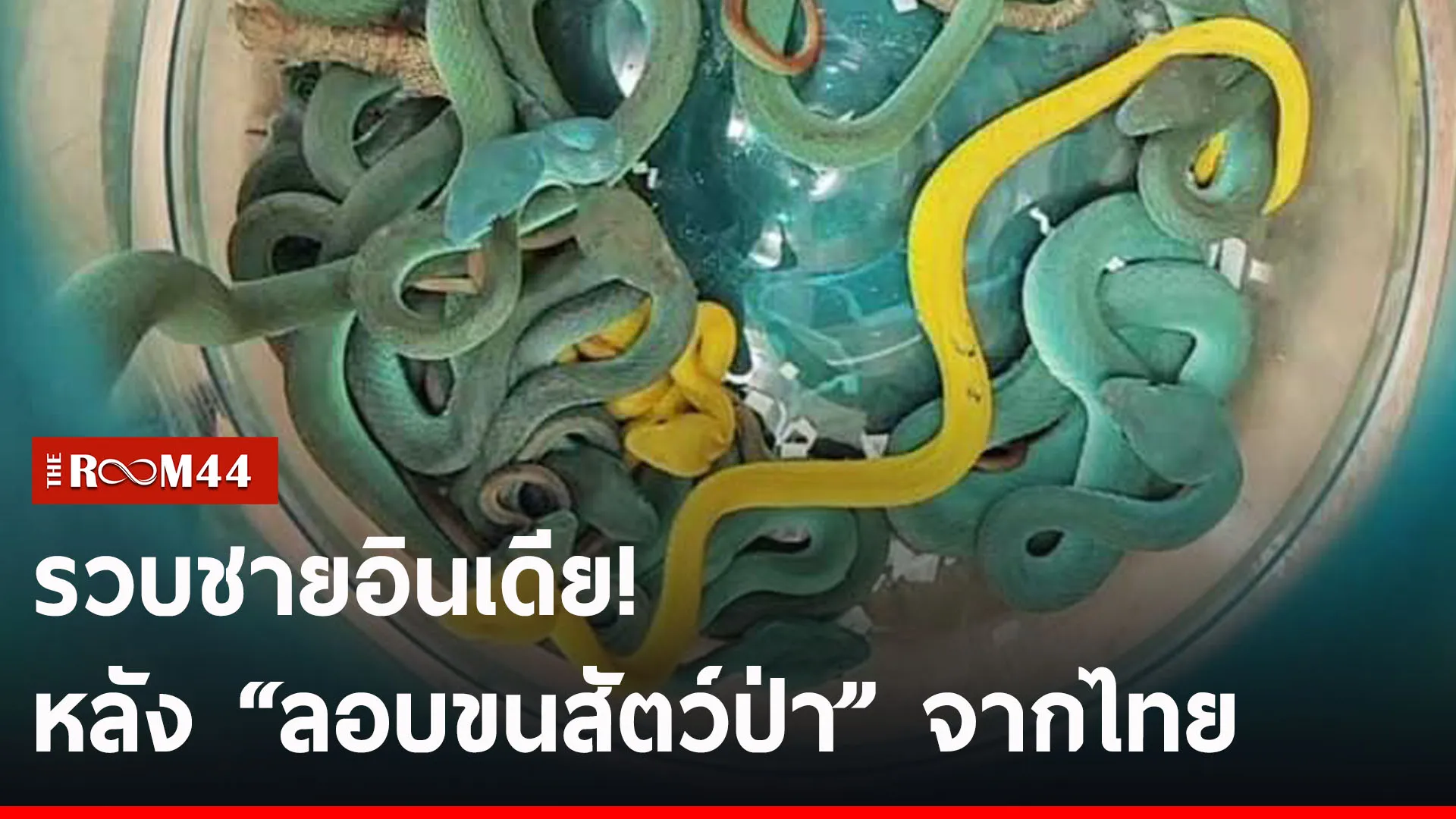 ปกข่าวไลน์-เว็บ2ีัรีัระีร