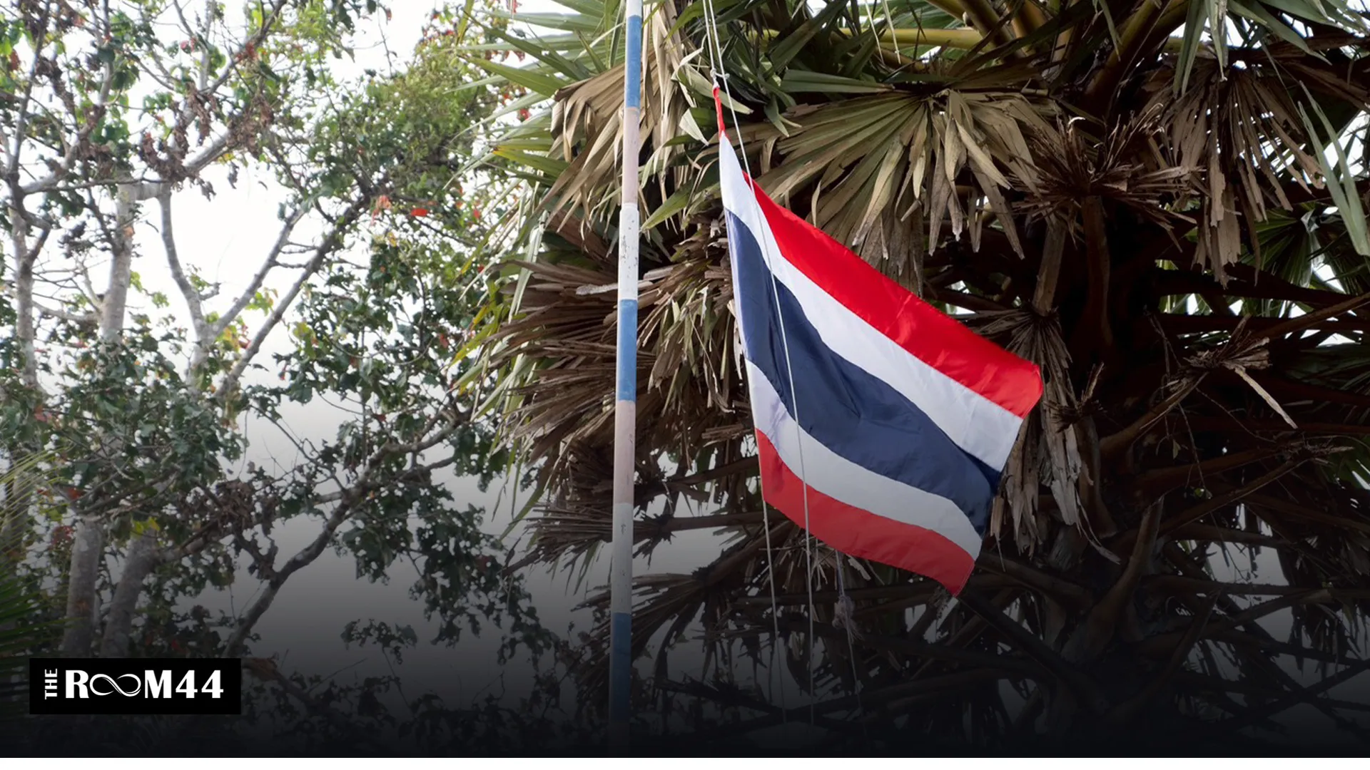 ปกข่าวไลน์-เว็บมาก0