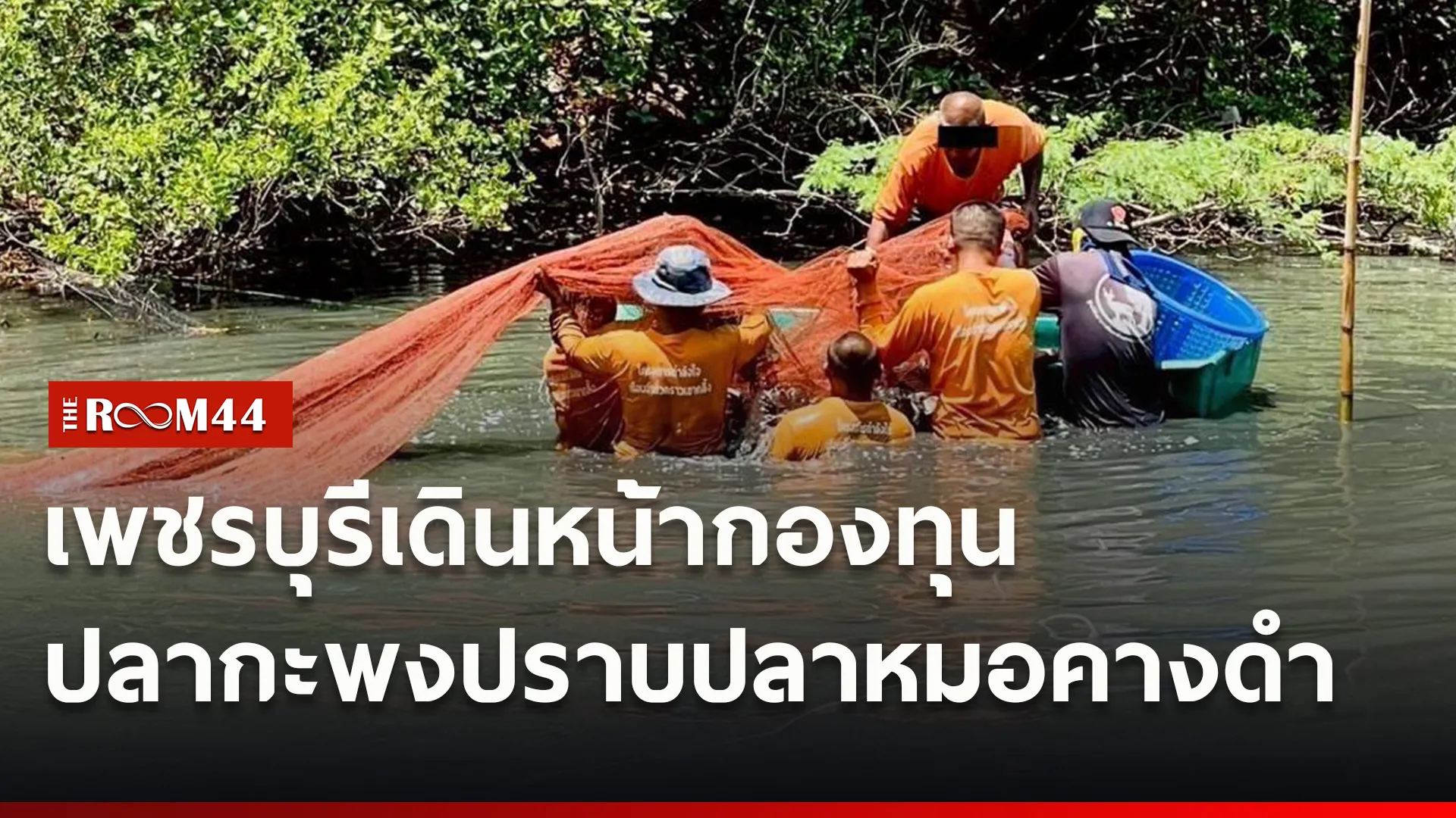 ปกข่าวไลน์ใหม่เว็บ-Recovered4