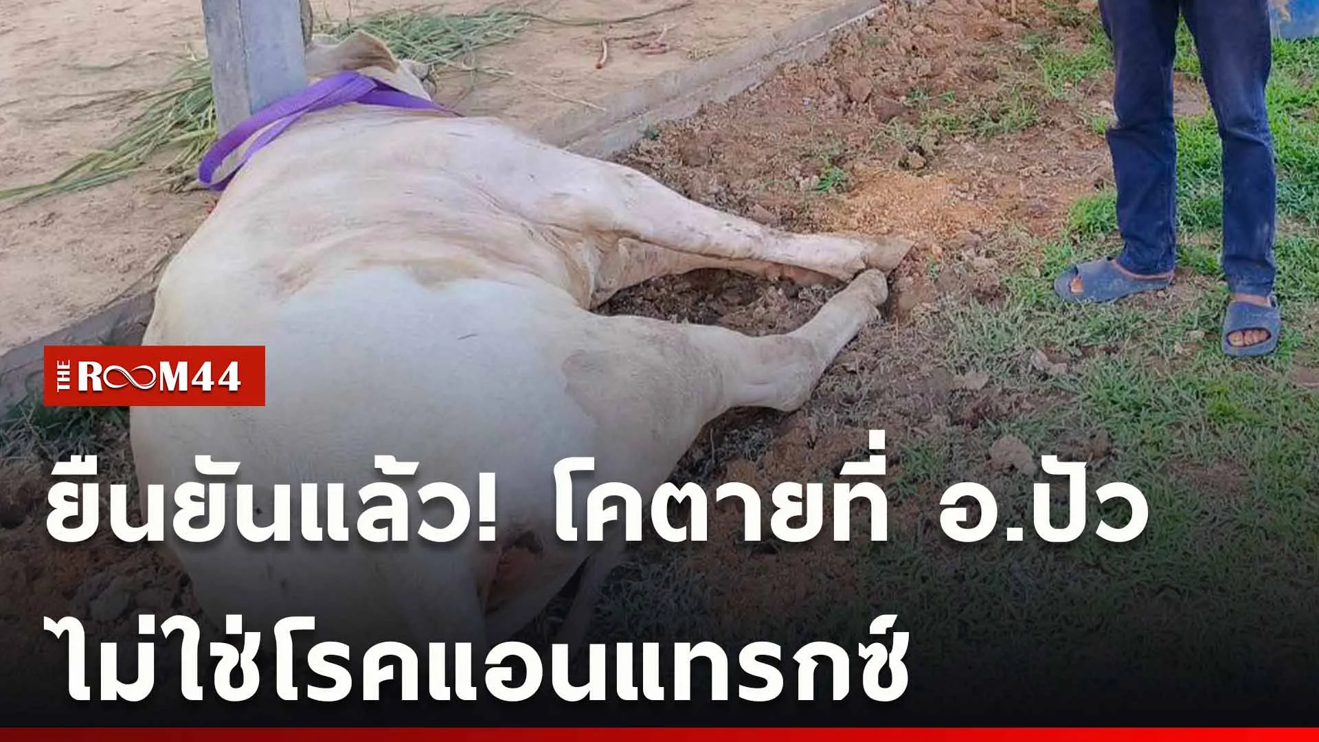 ปกข่าวไลน์ใหม่เว็บ-Recovered