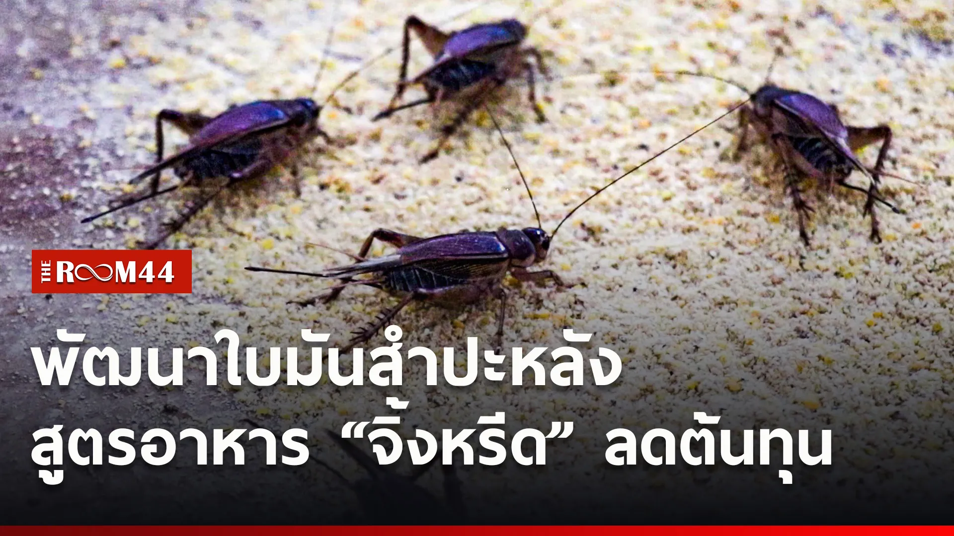 ปกข่าวไลน์ใหม่เว็บ0