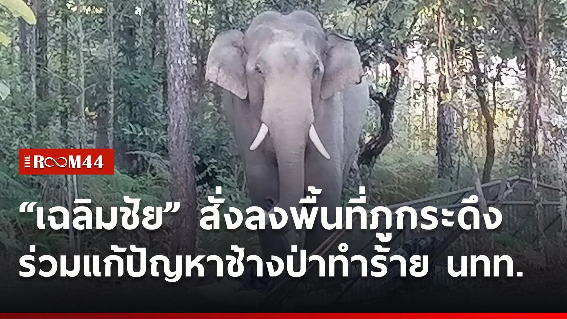 ปกข่าวไลน์ใหม่เว็บ0