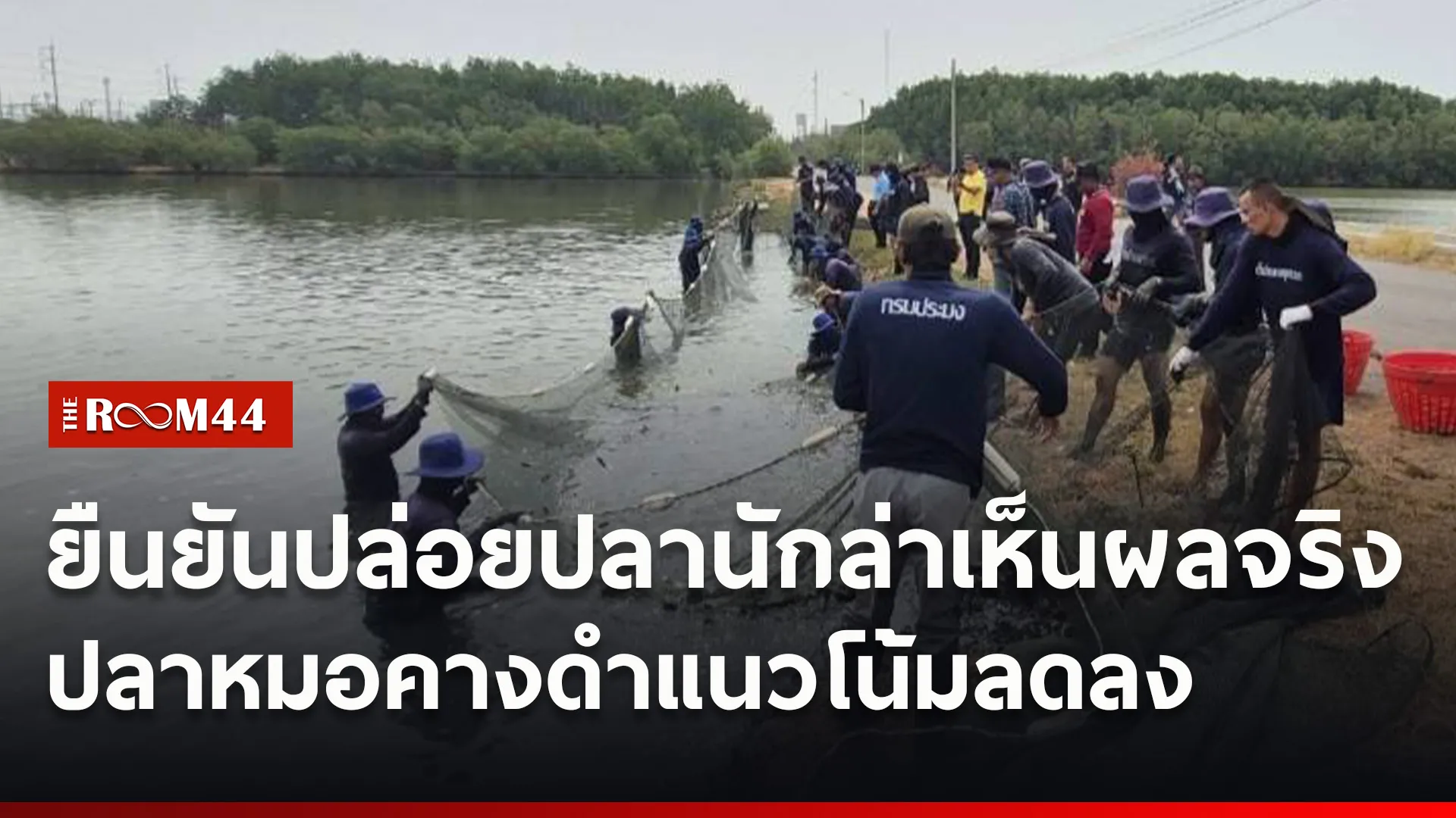 ปกข่าวไลน์ใหม่เว็บ0