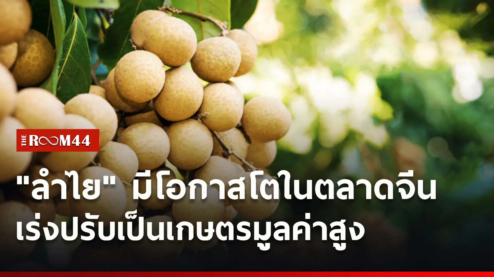 ปกข่าวไลน์ใหม่เว็บ1