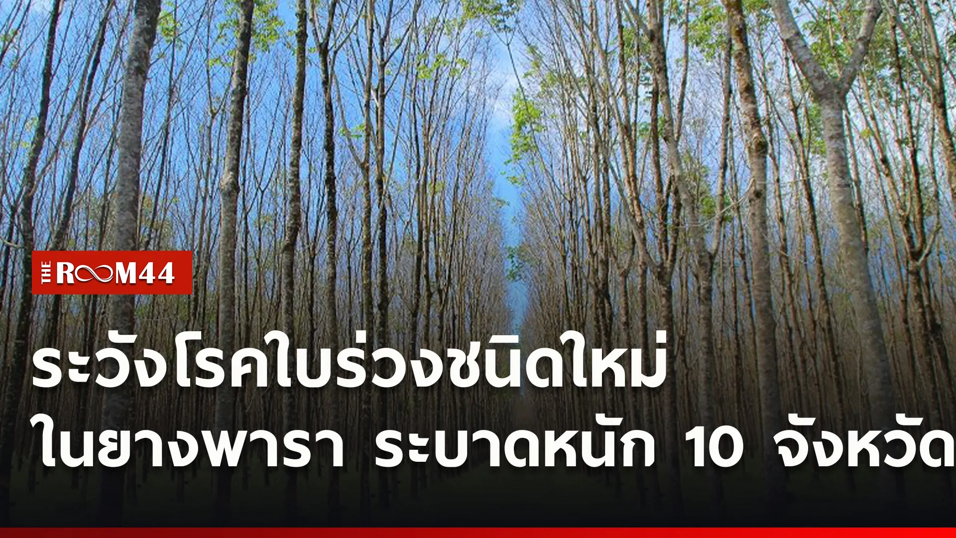 ปกข่าวไลน์ใหม่เว็บ1