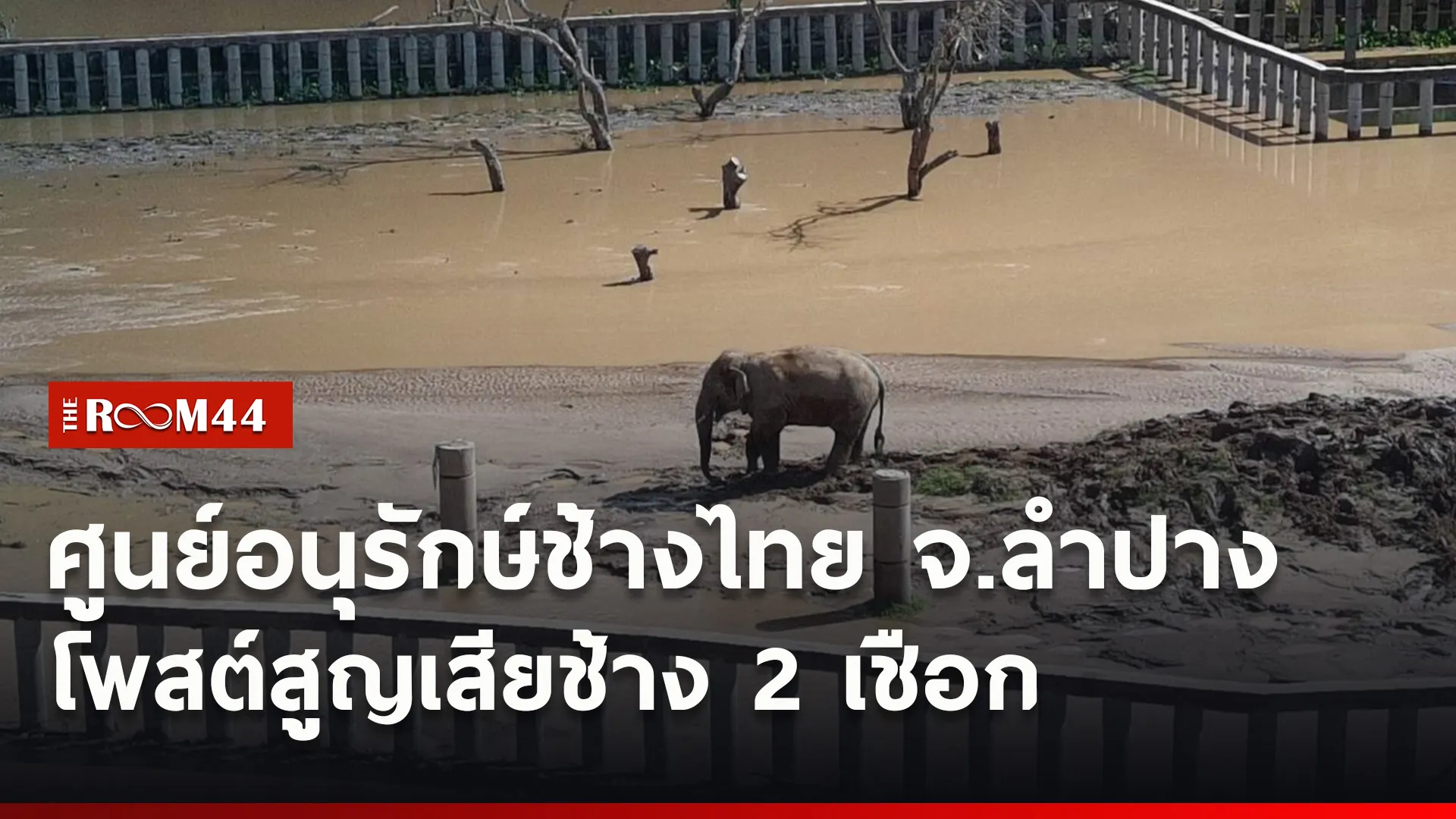 ปกข่าวไลน์ใหม่เว็บ2