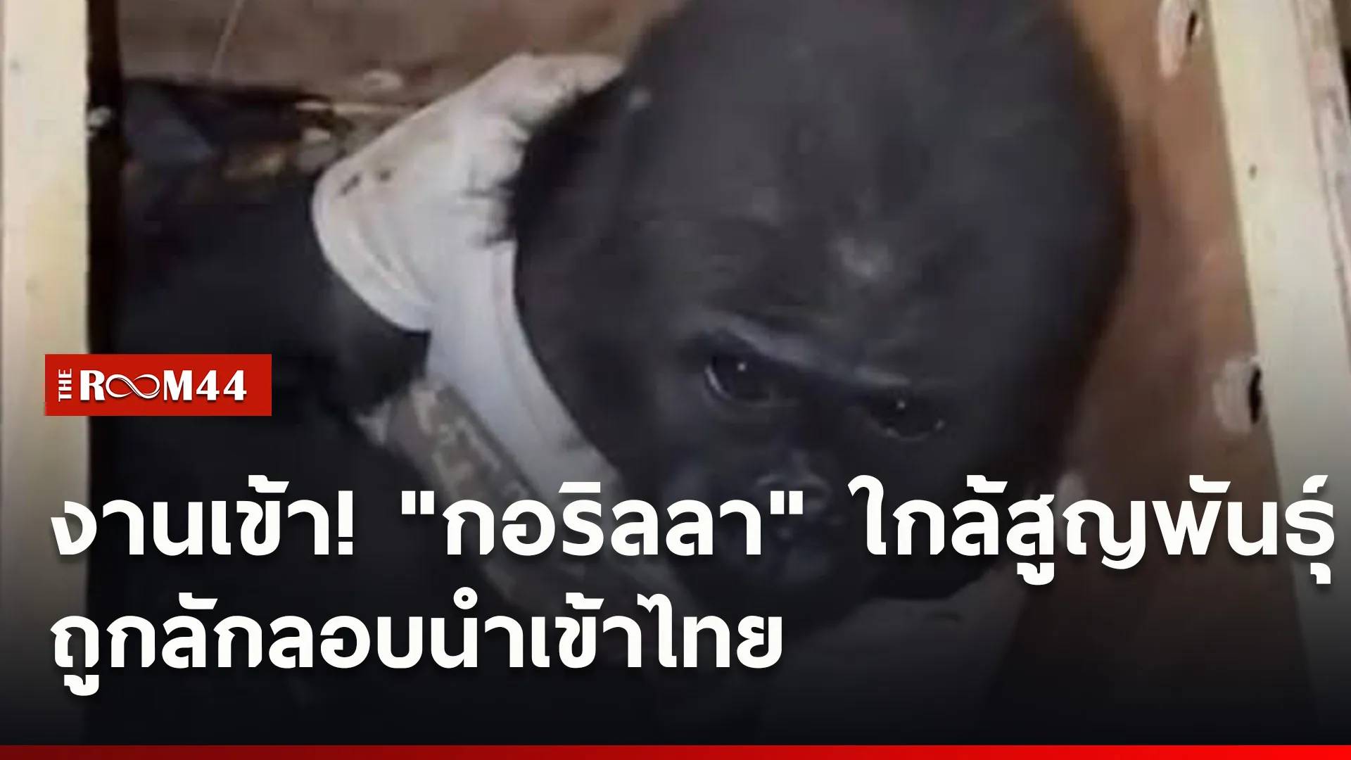 ปกข่าวไลน์ใหม่เว็บ2