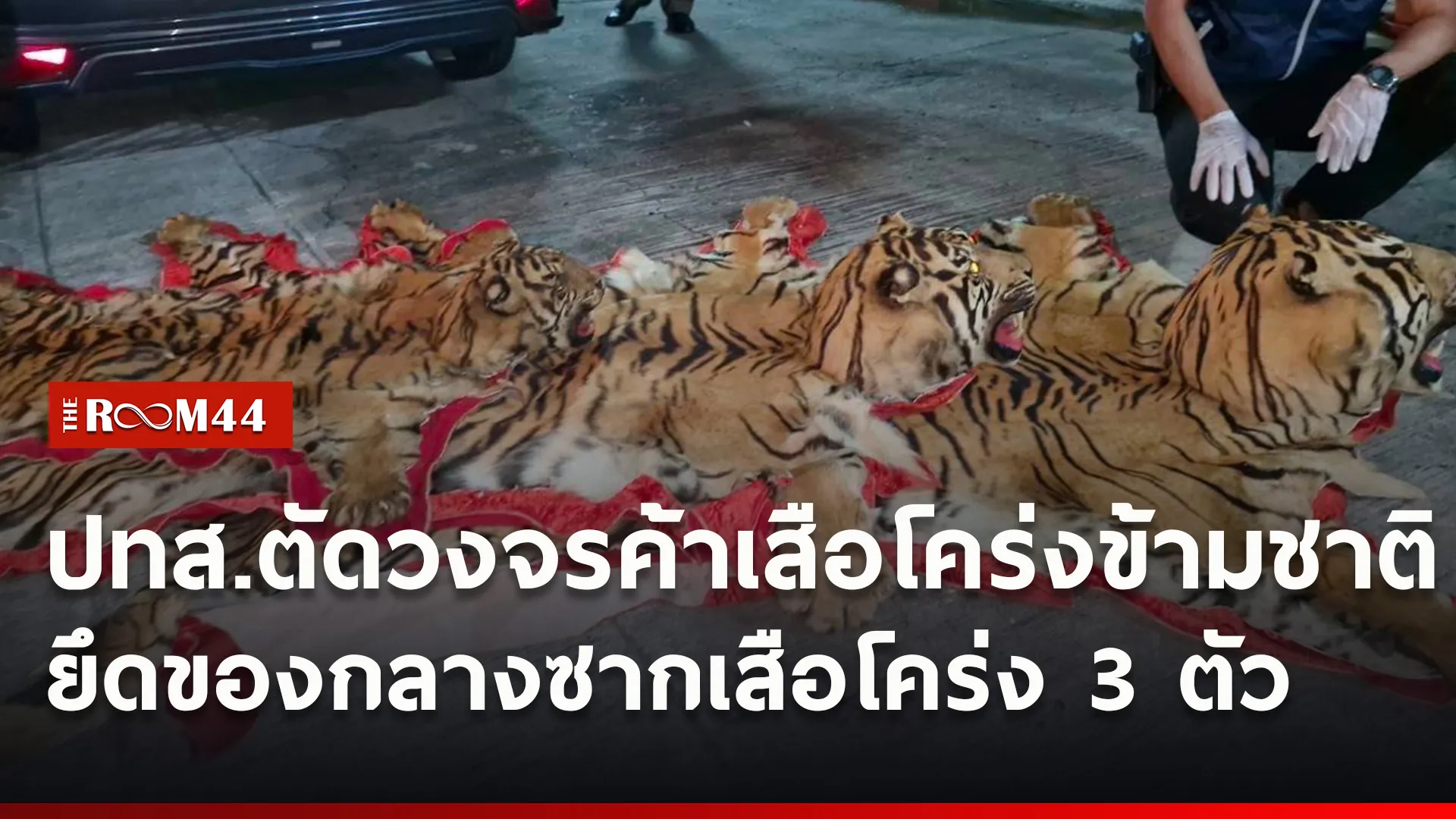 ปกข่าวไลน์ใหม่เว็บ3