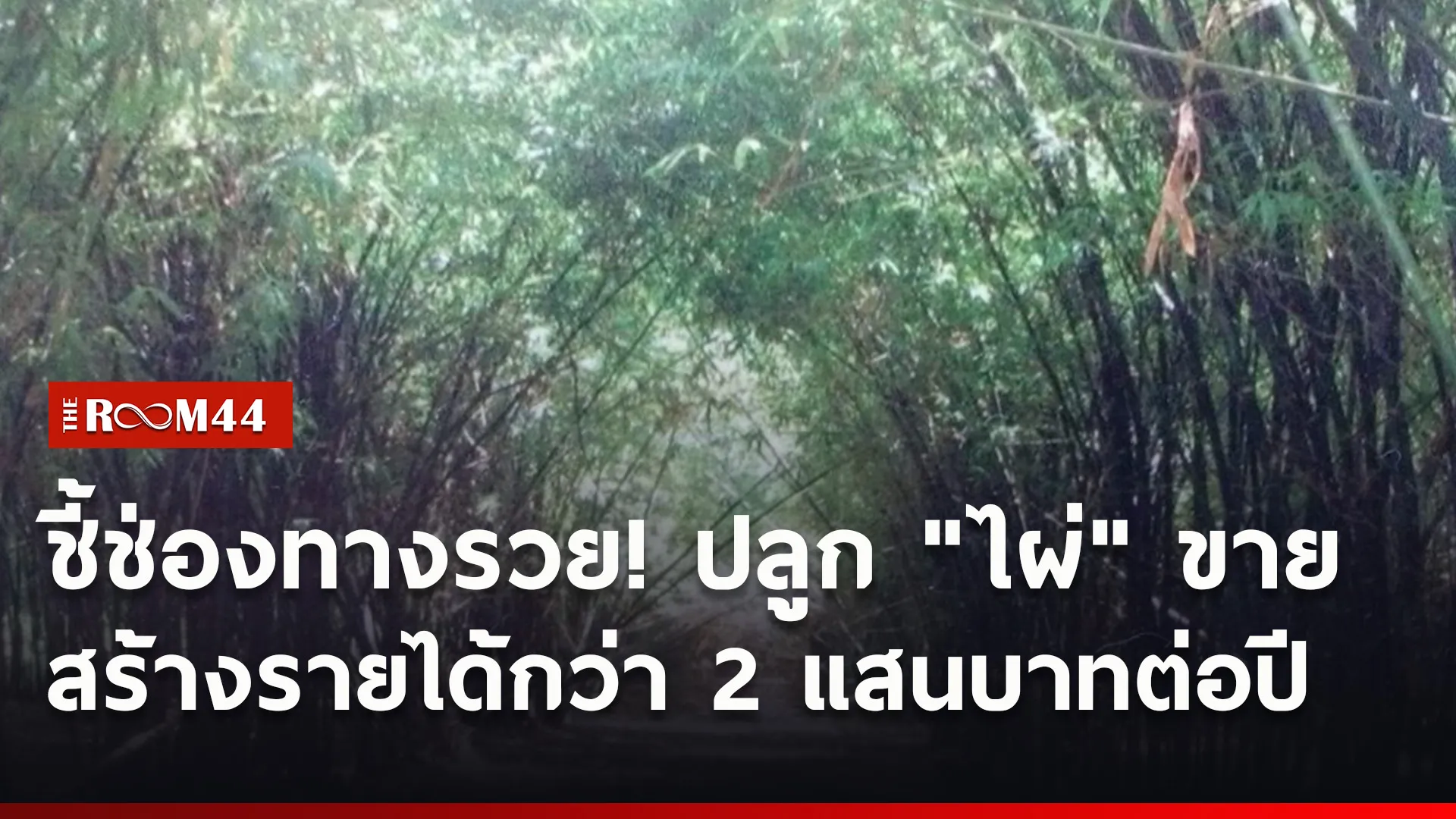 ปกข่าวไลน์ใหม่เว็บ3