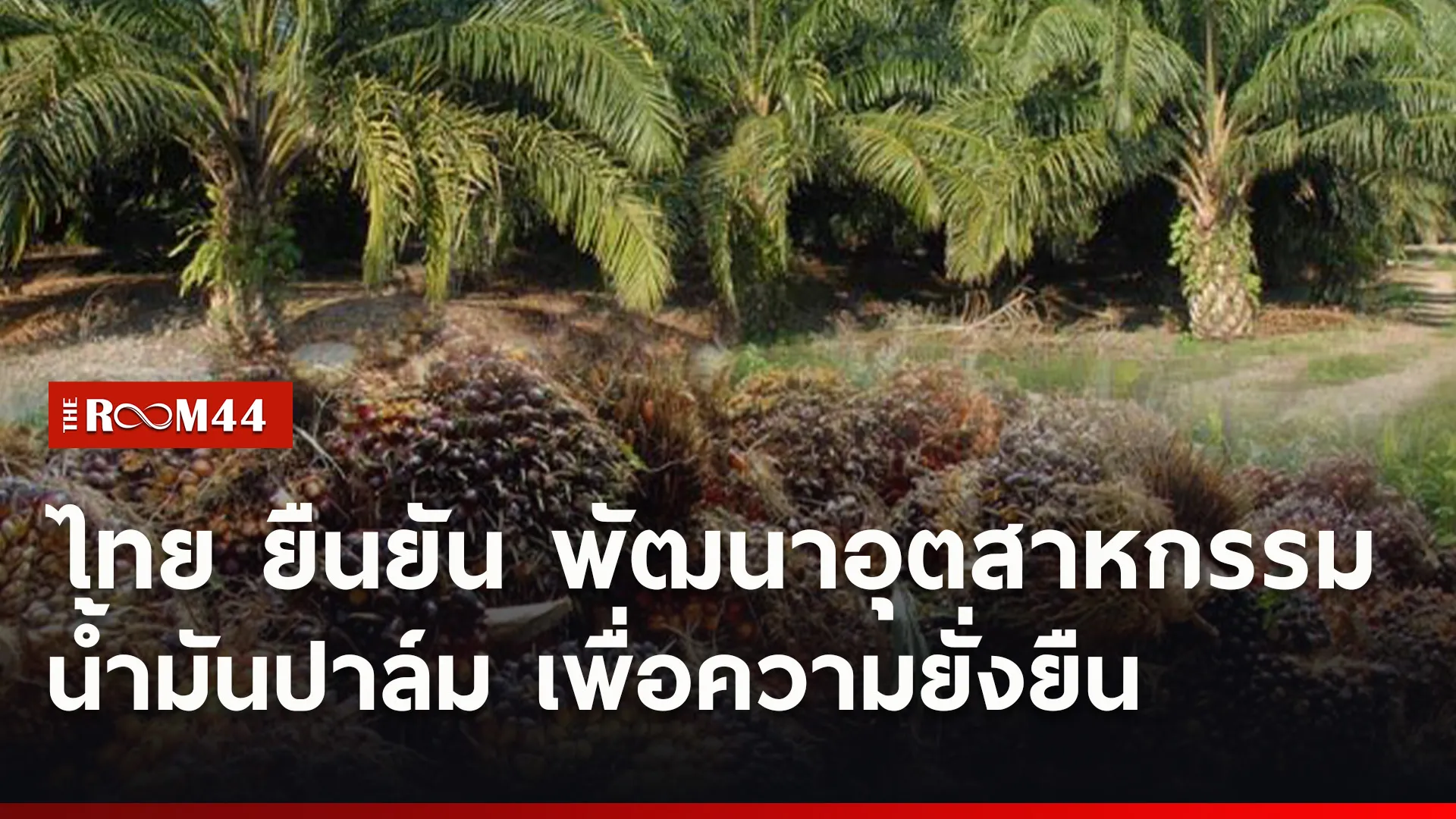 ปกข่าวไลน์ใหม่เว็บ3