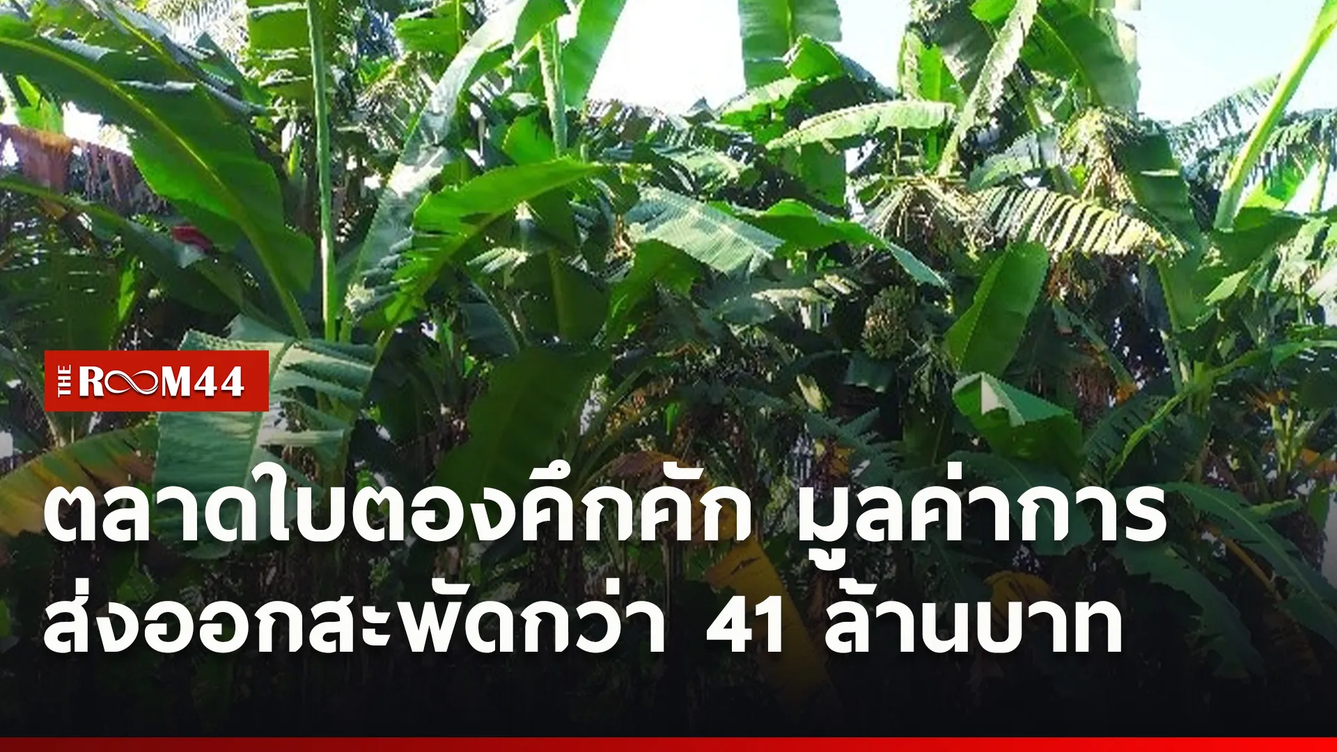 ปกข่าวไลน์ใหม่เว็บ4