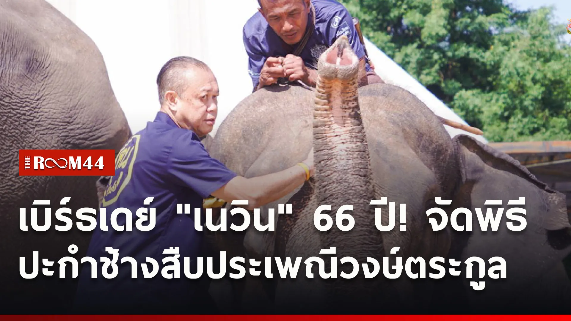 ปกข่าวไลน์ใหม่เว็บ4