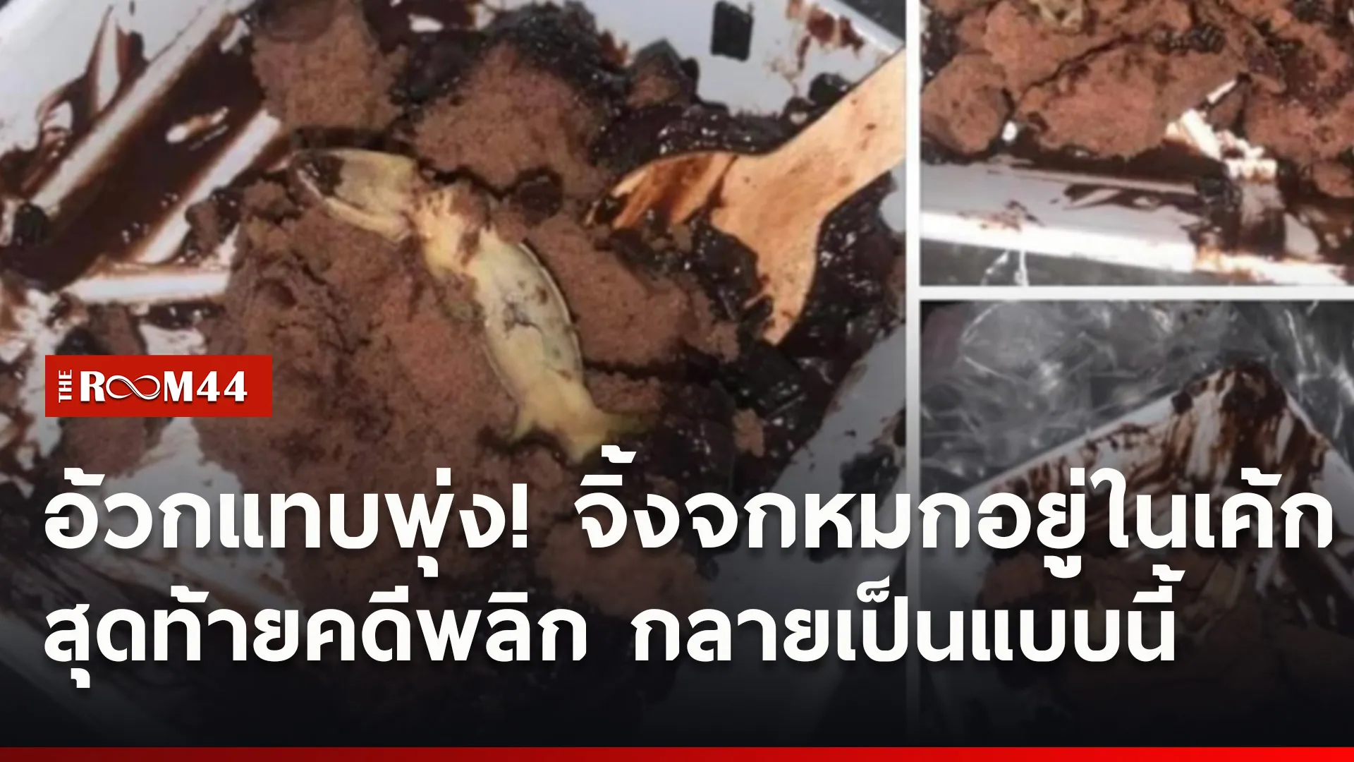 ปกข่าวไลน์ใหม่เว็บ4