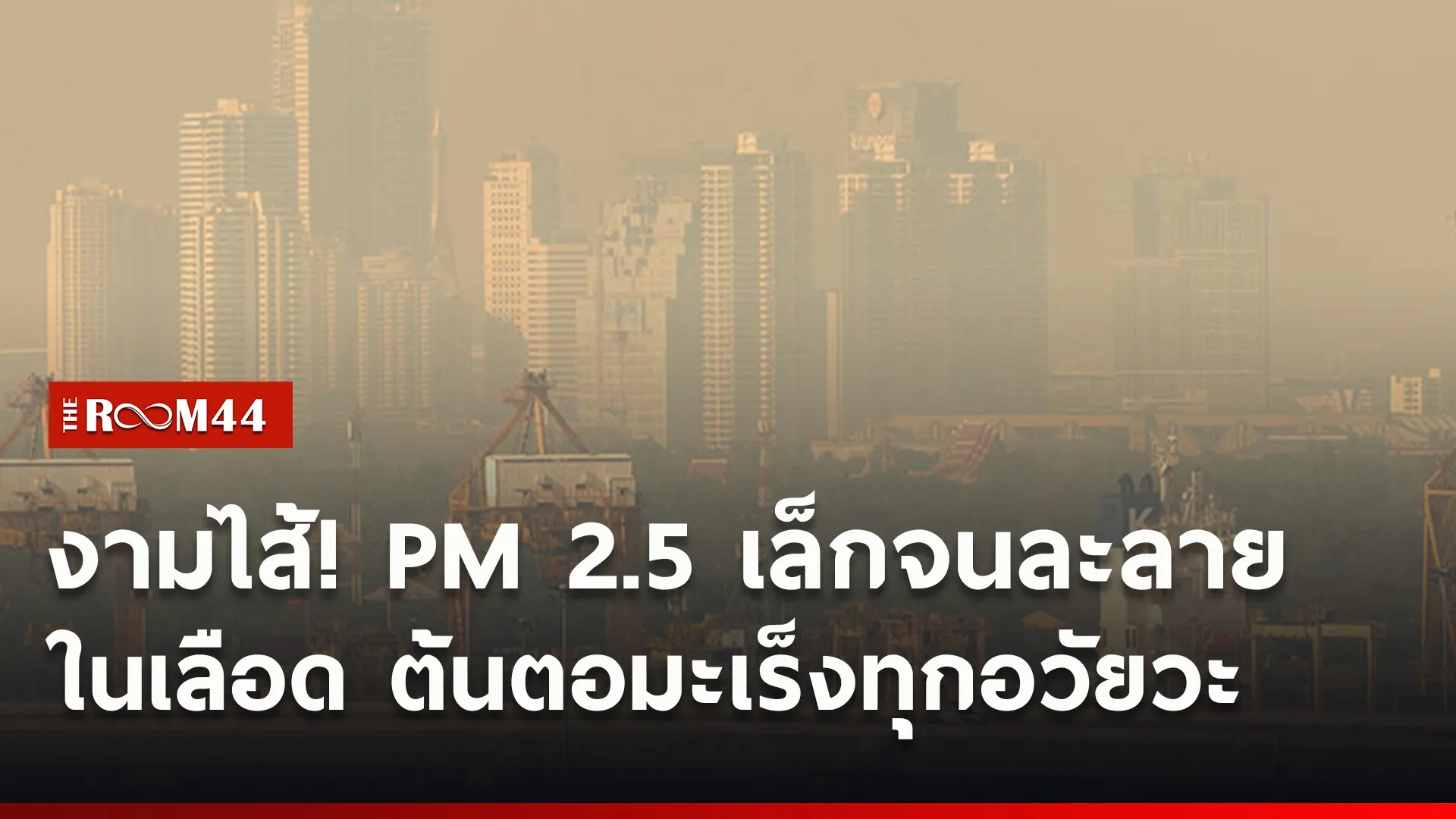 ปกข่าวไลน์ใหม่เว็บ5