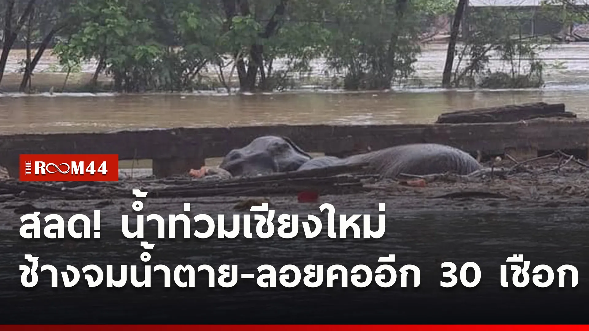 ปกข่าวไลน์ใหม่เว็บ5