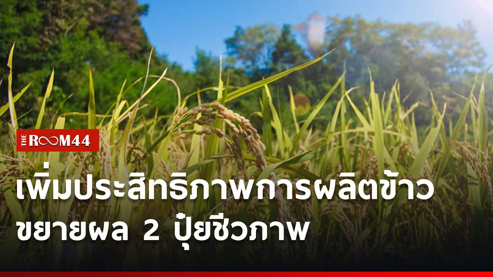 ปกข่าวไลน์ใหม่เว็บ6
