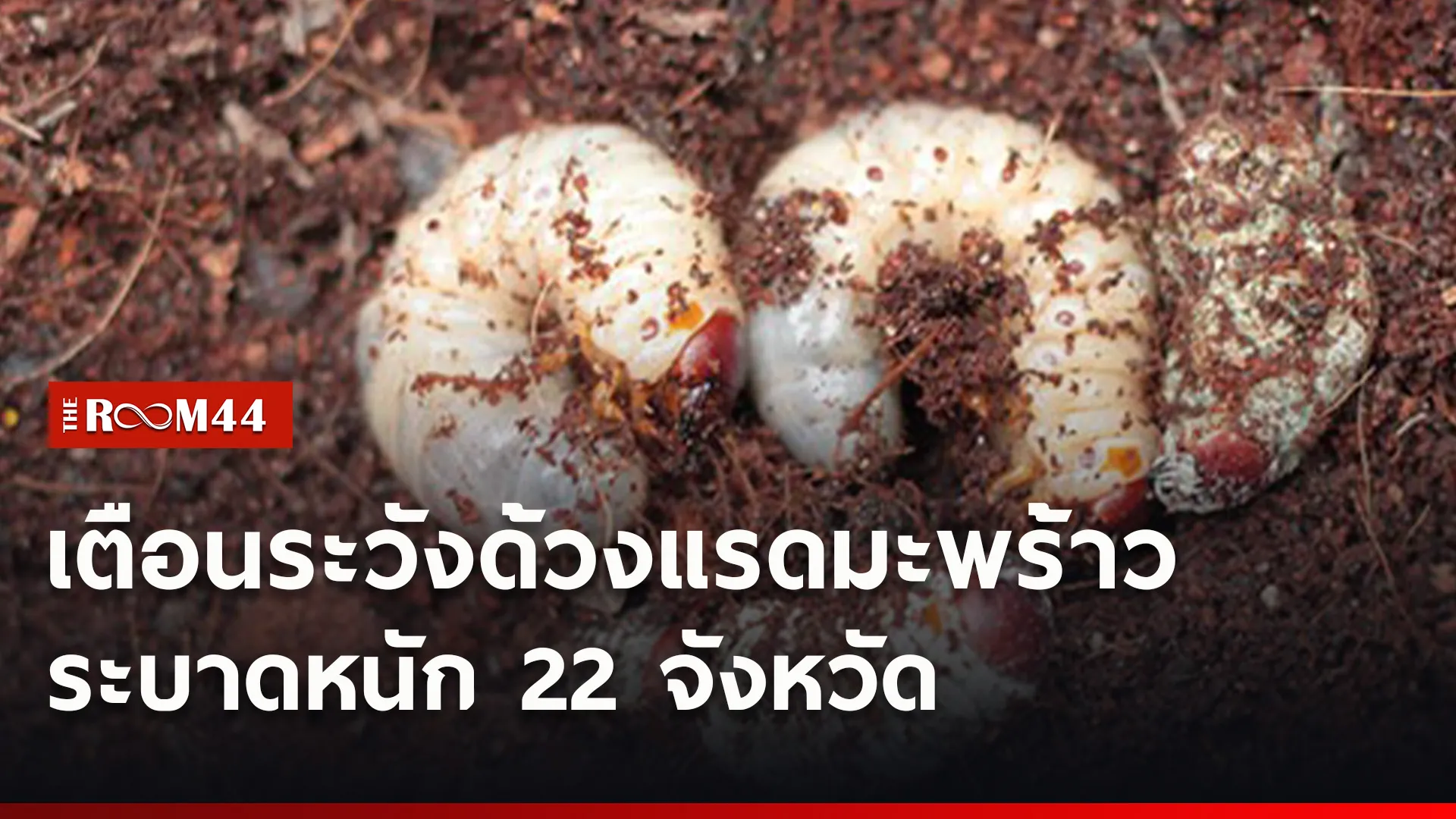 ปกข่าวไลน์ใหม่เว็บ7