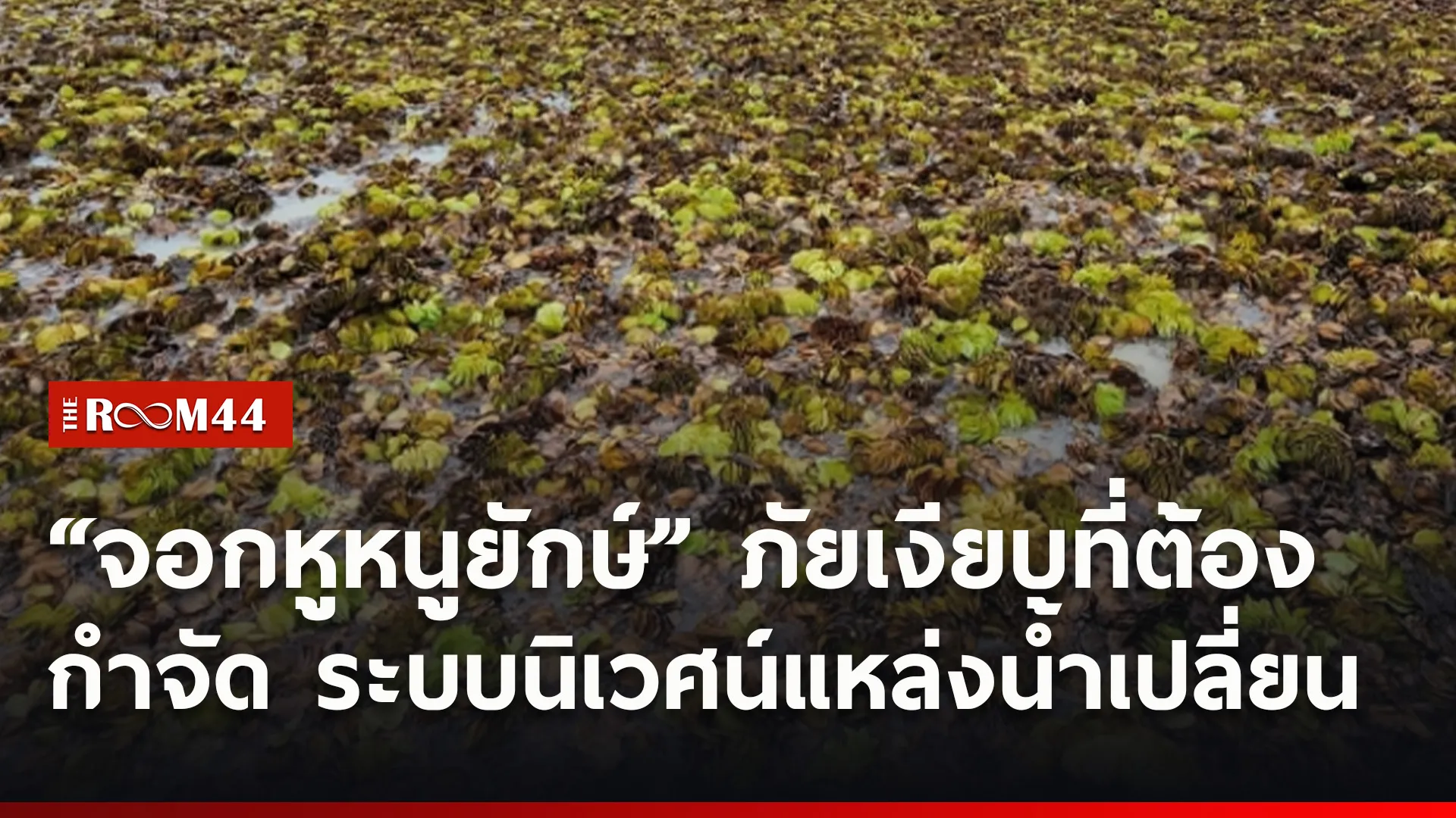 ปกข่าวไลน์ใหม่เว็บ9