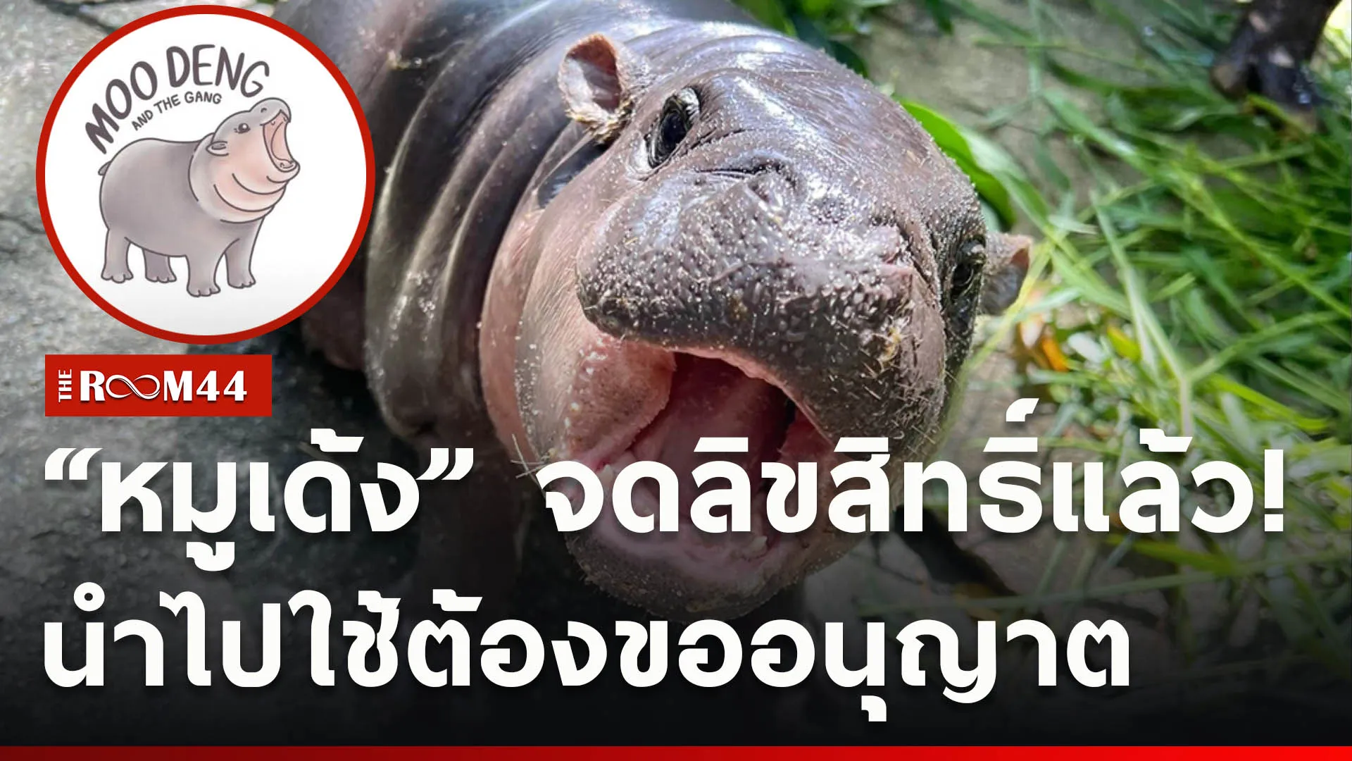 ปกข่าวไลน์ใหม่เว็บcopy