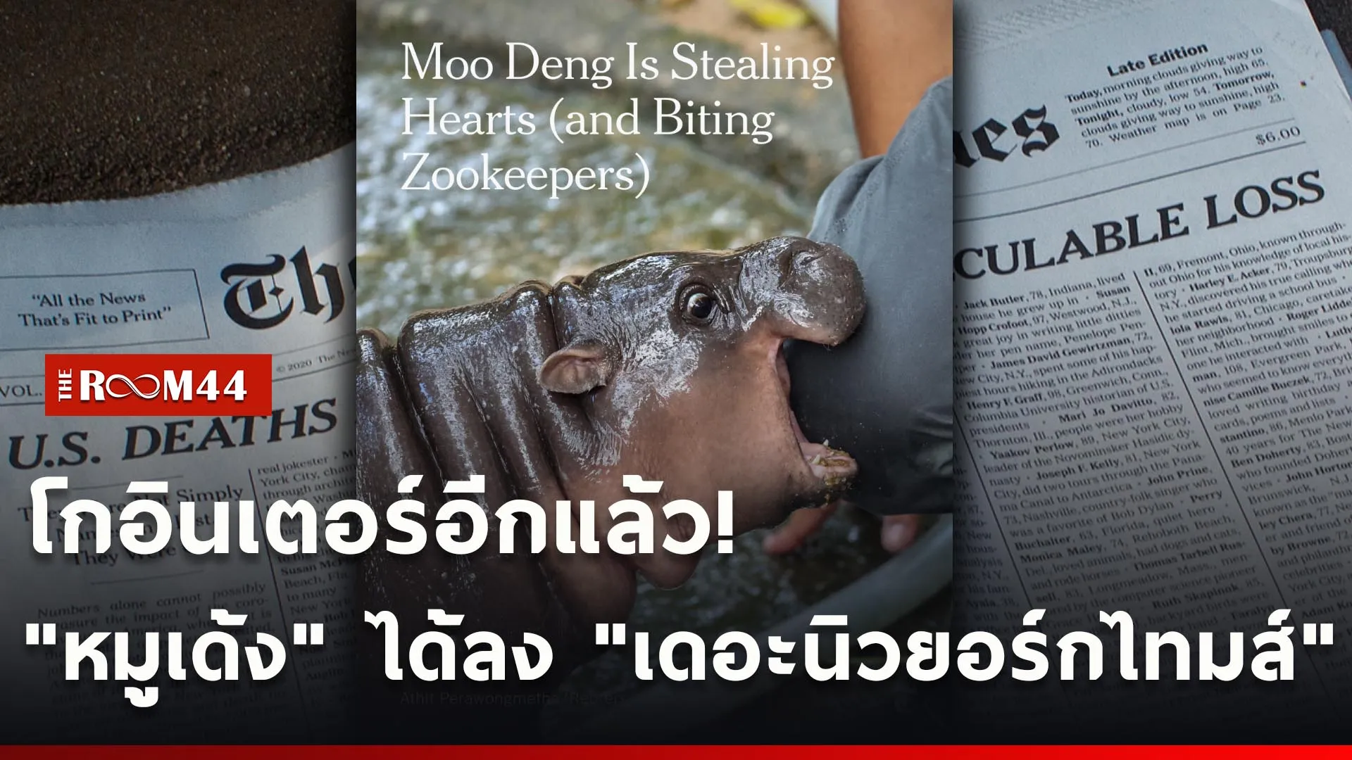 ปกข่าวไลน์ใหม่เว็บcopy