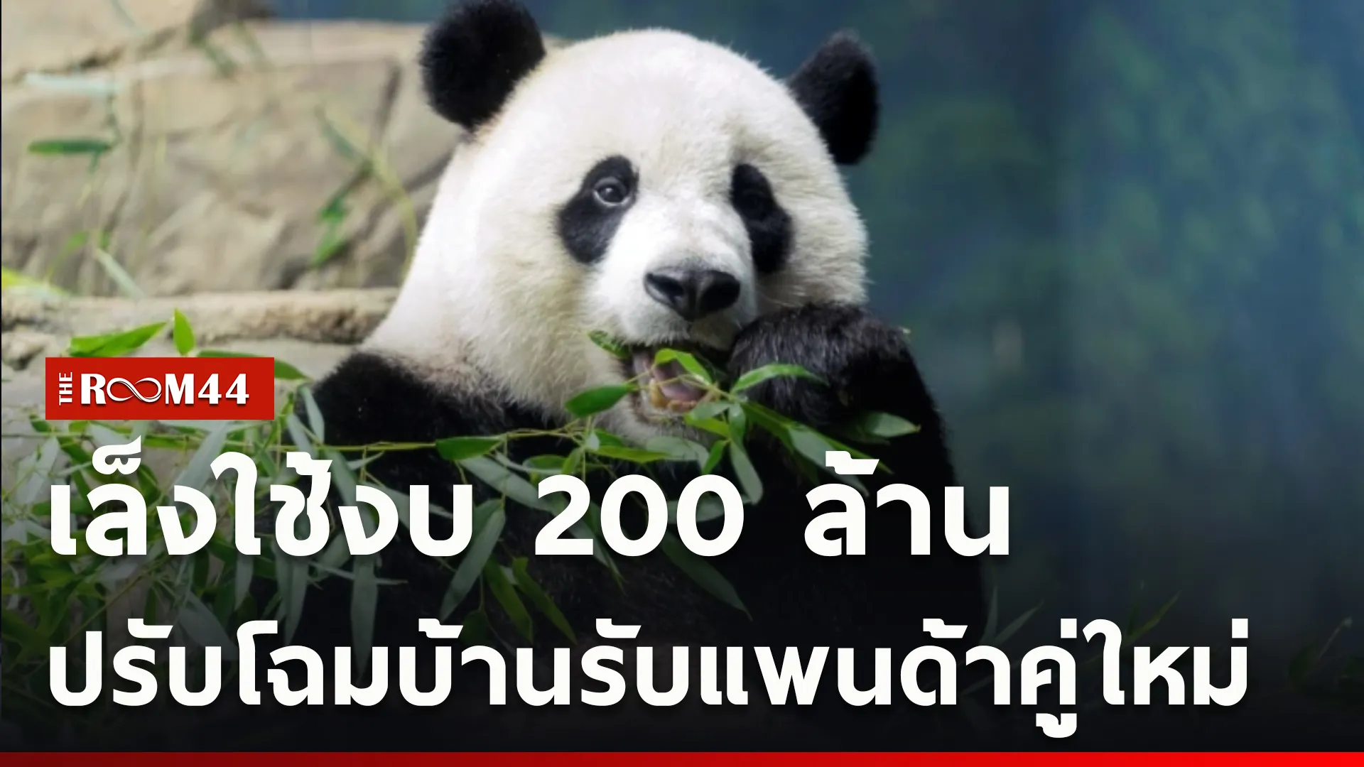 ปกข่าวไลน์ใหม่เว็บcopy
