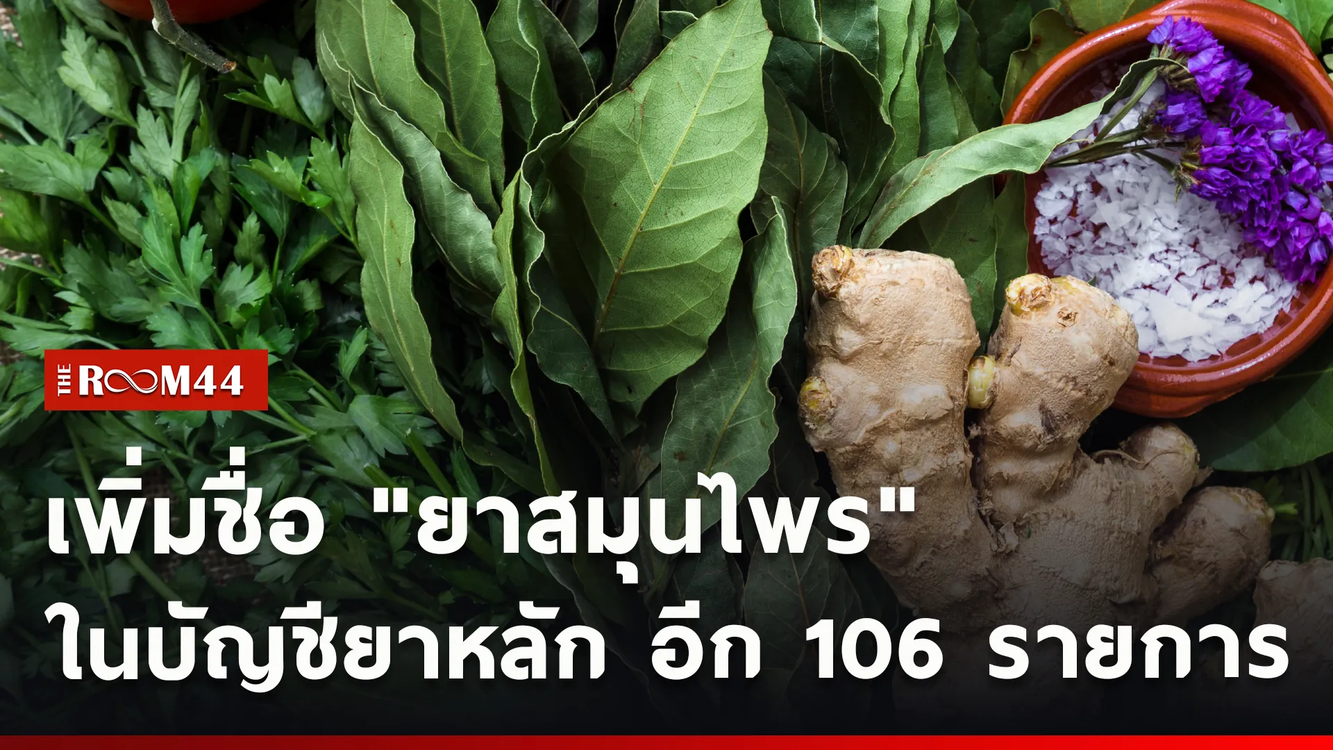 ปกข่าวไลน์ใหม่เว็บcopy