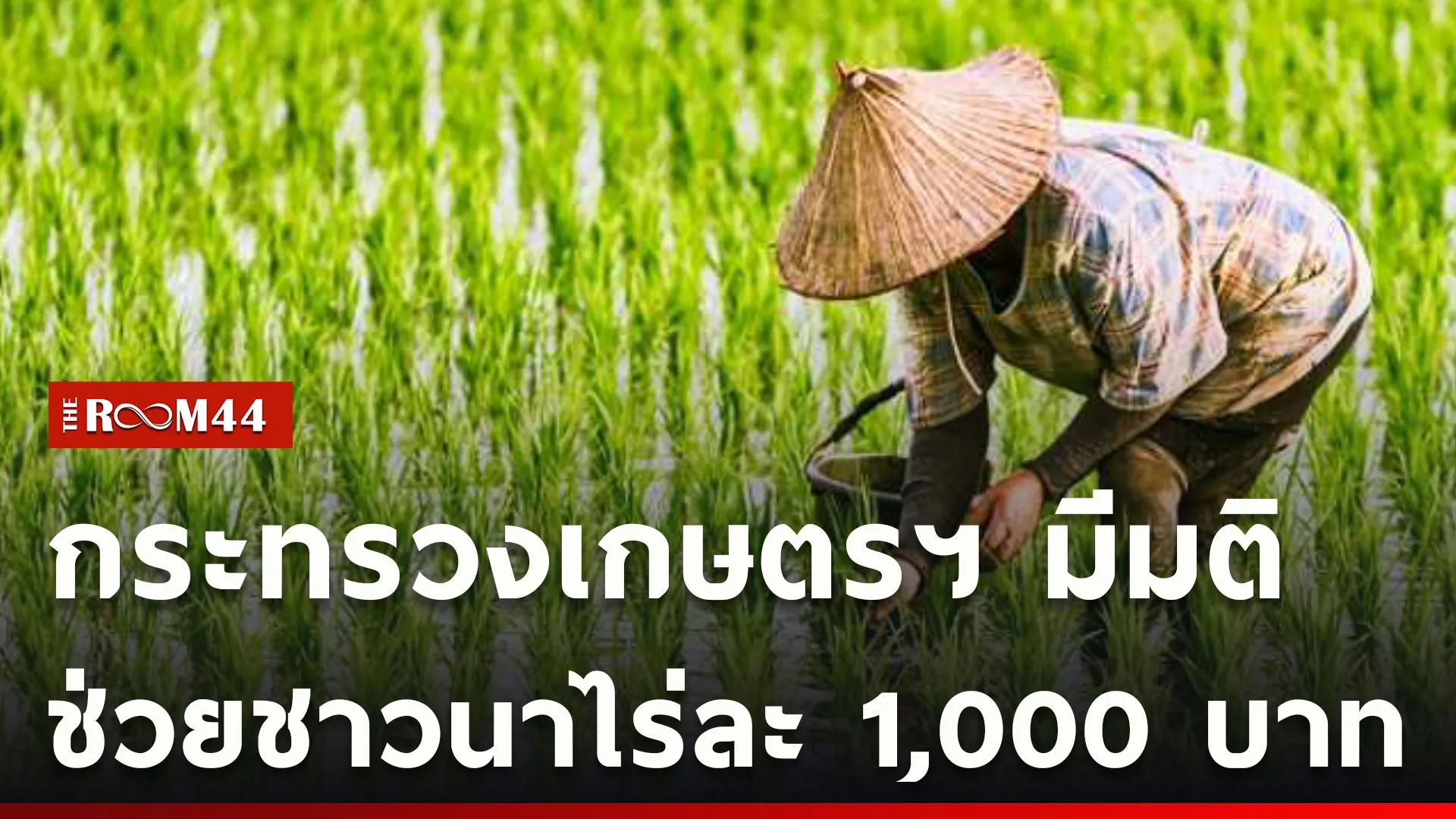 ปกข่าวไลน์ใหม่เว็บcopy