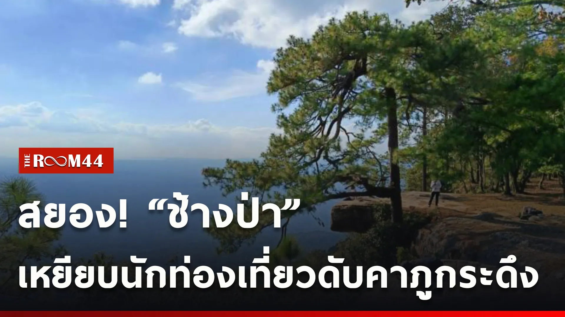 ปกข่าวไลน์ใหม่เว็บcopy