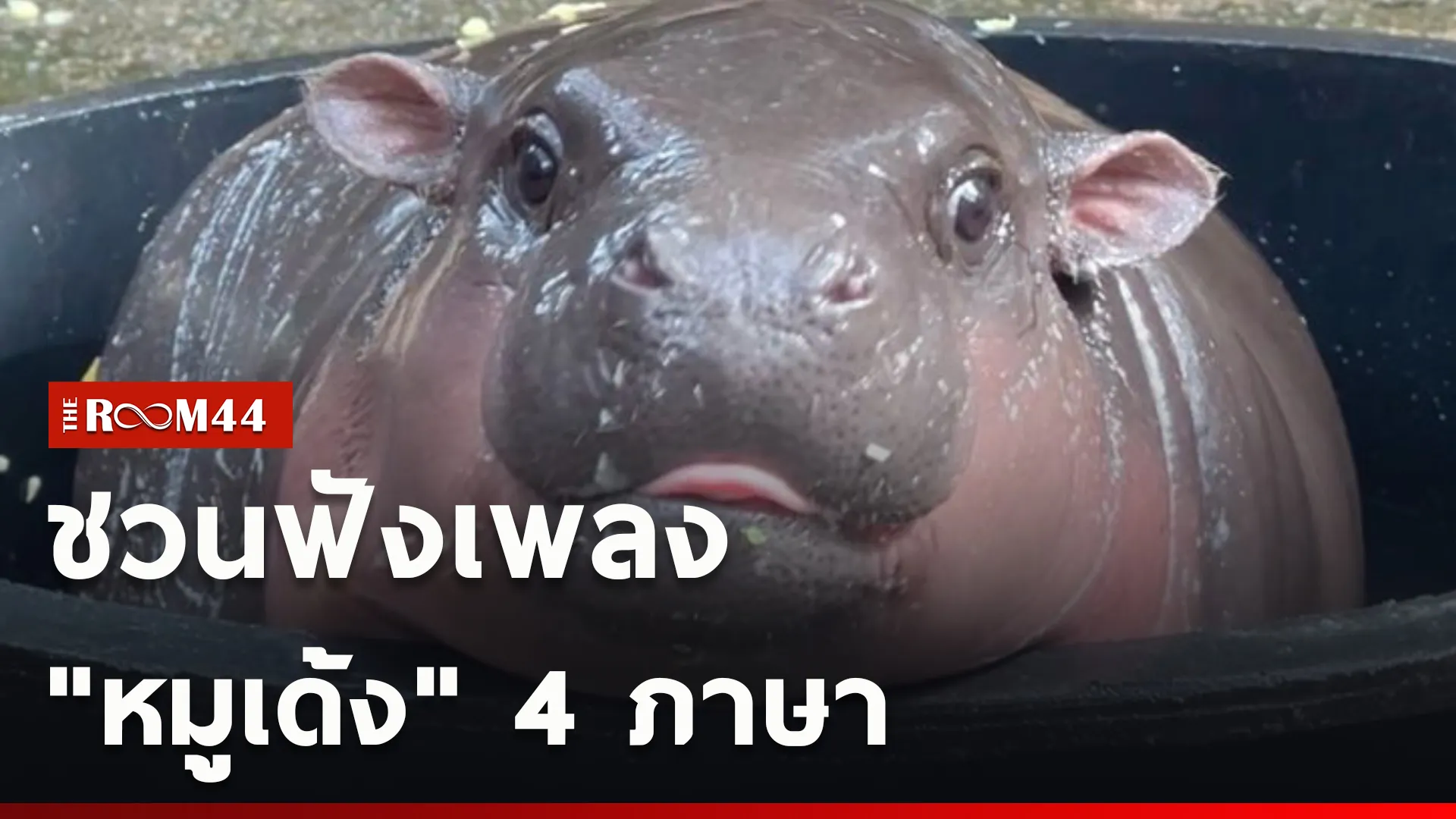 ปกข่าวไลน์ใหม่เว็บcopy