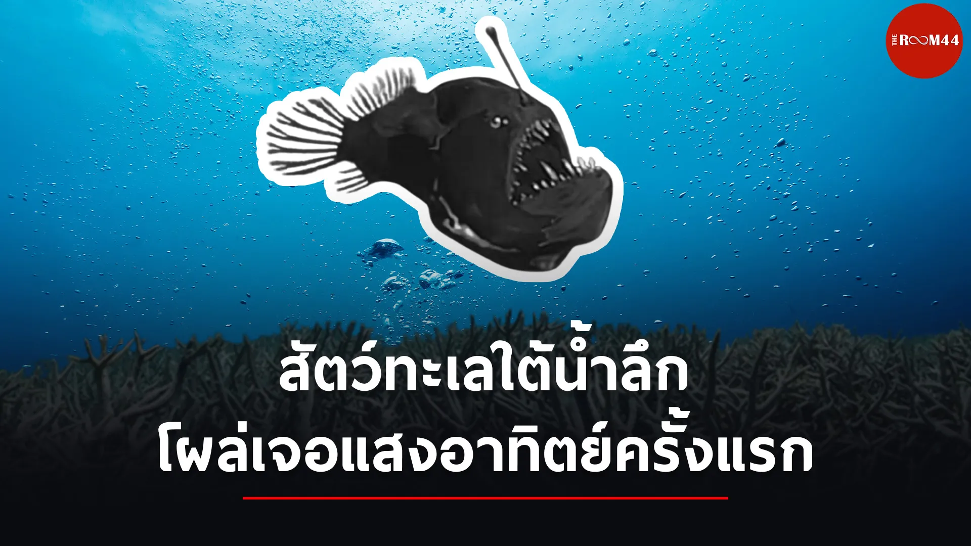 ปกสกู๊ปแนวนอน01