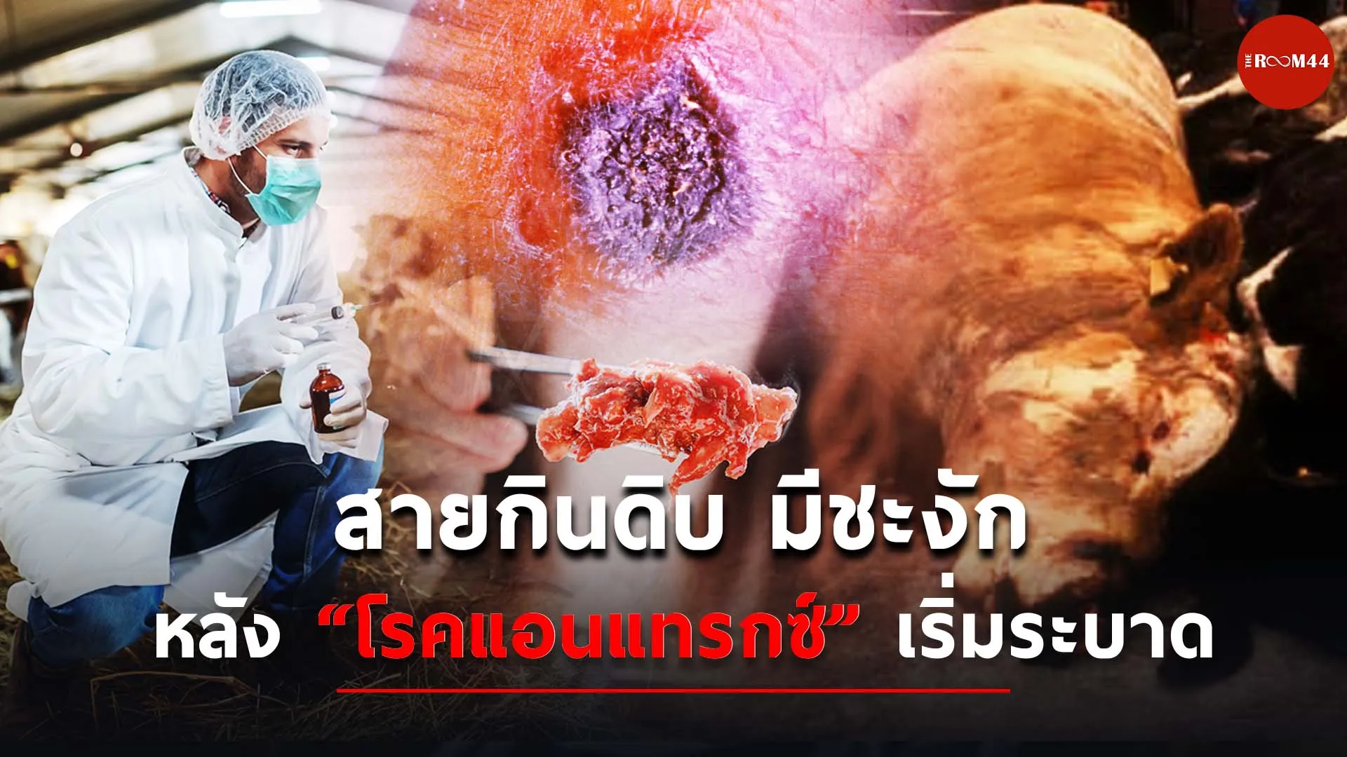 ปกสกู๊ปแนวนอนะพัพะั